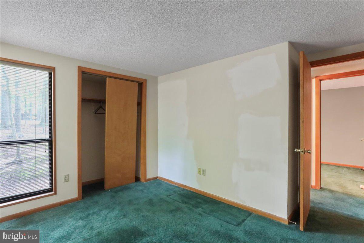 THE WOODS - Residential