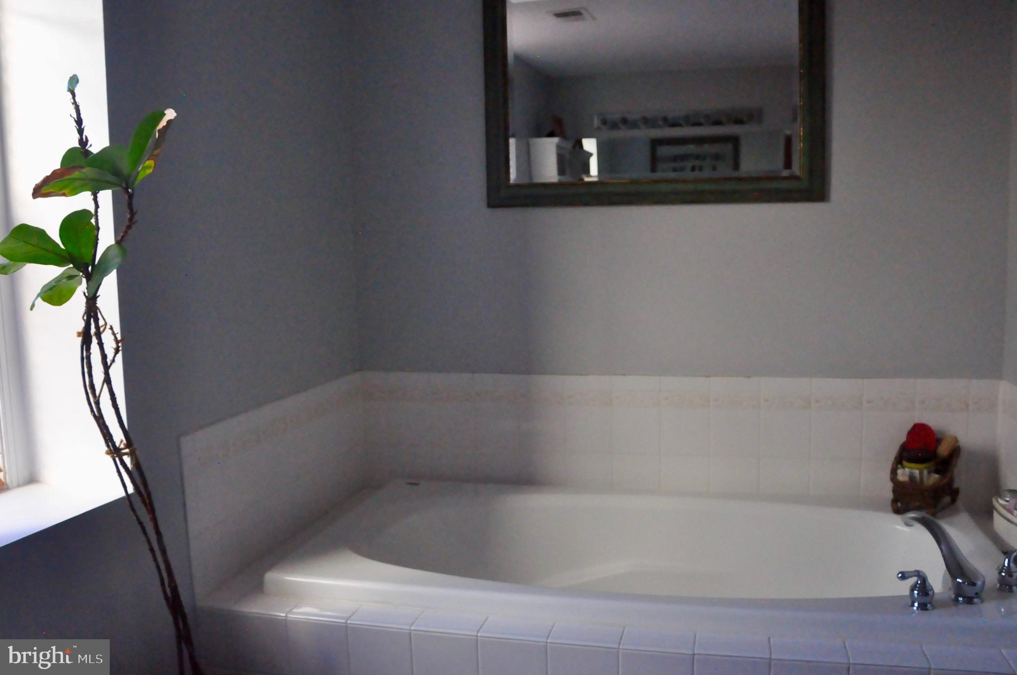 BLOOMS MILL - Residential Lease