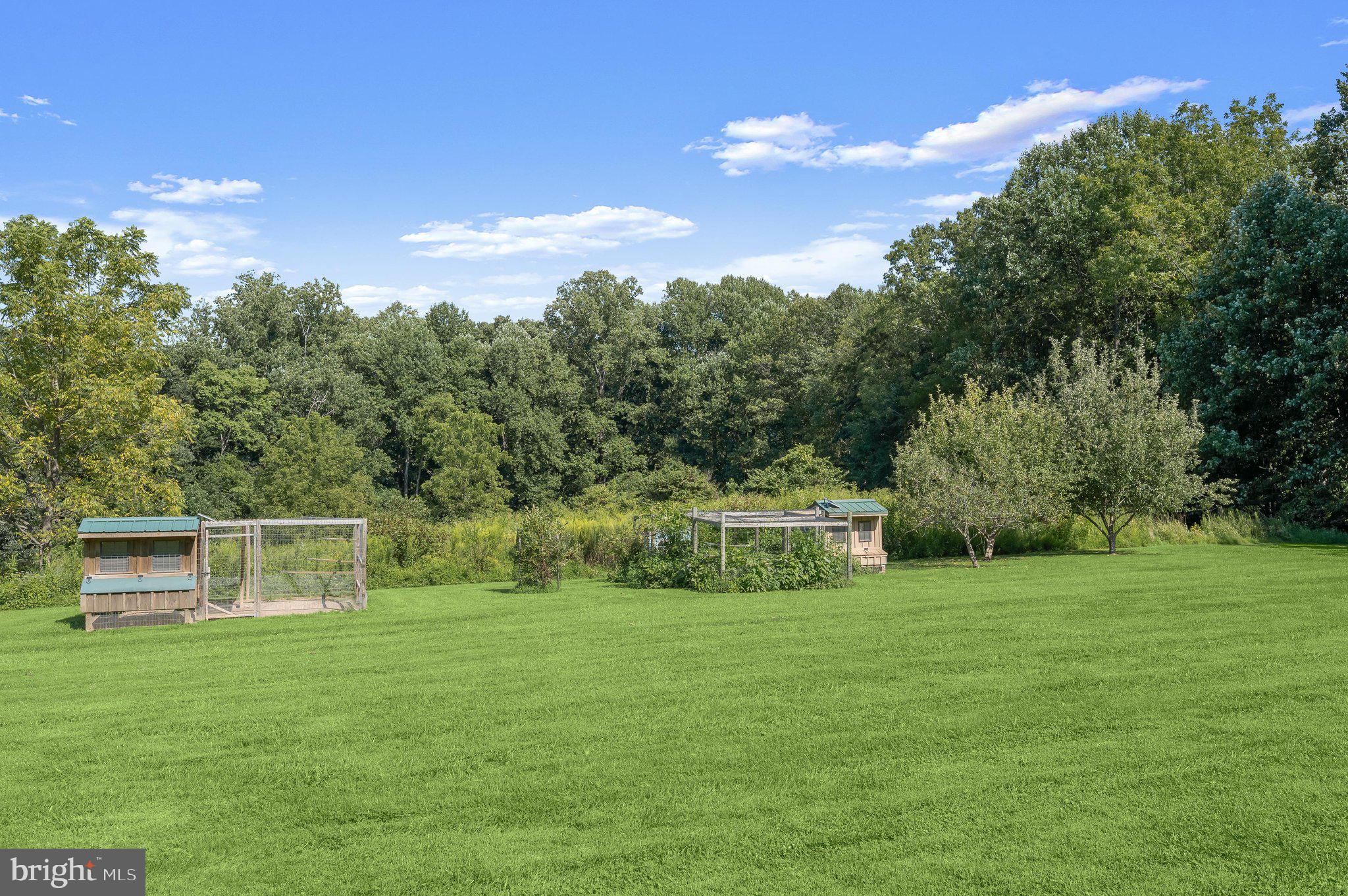 1650 VILLAGE GREEN DRIVE