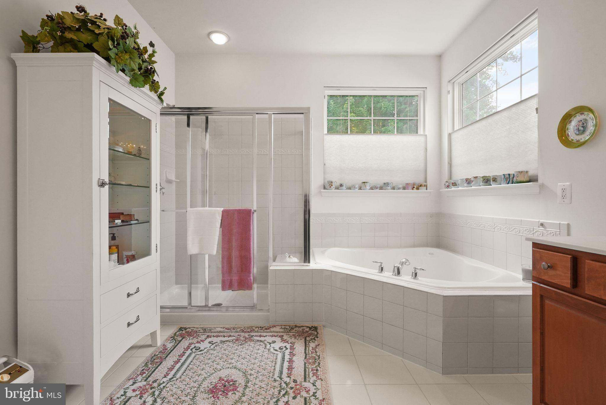 FOUR SEASONS AT HISTORIC VA - Residential