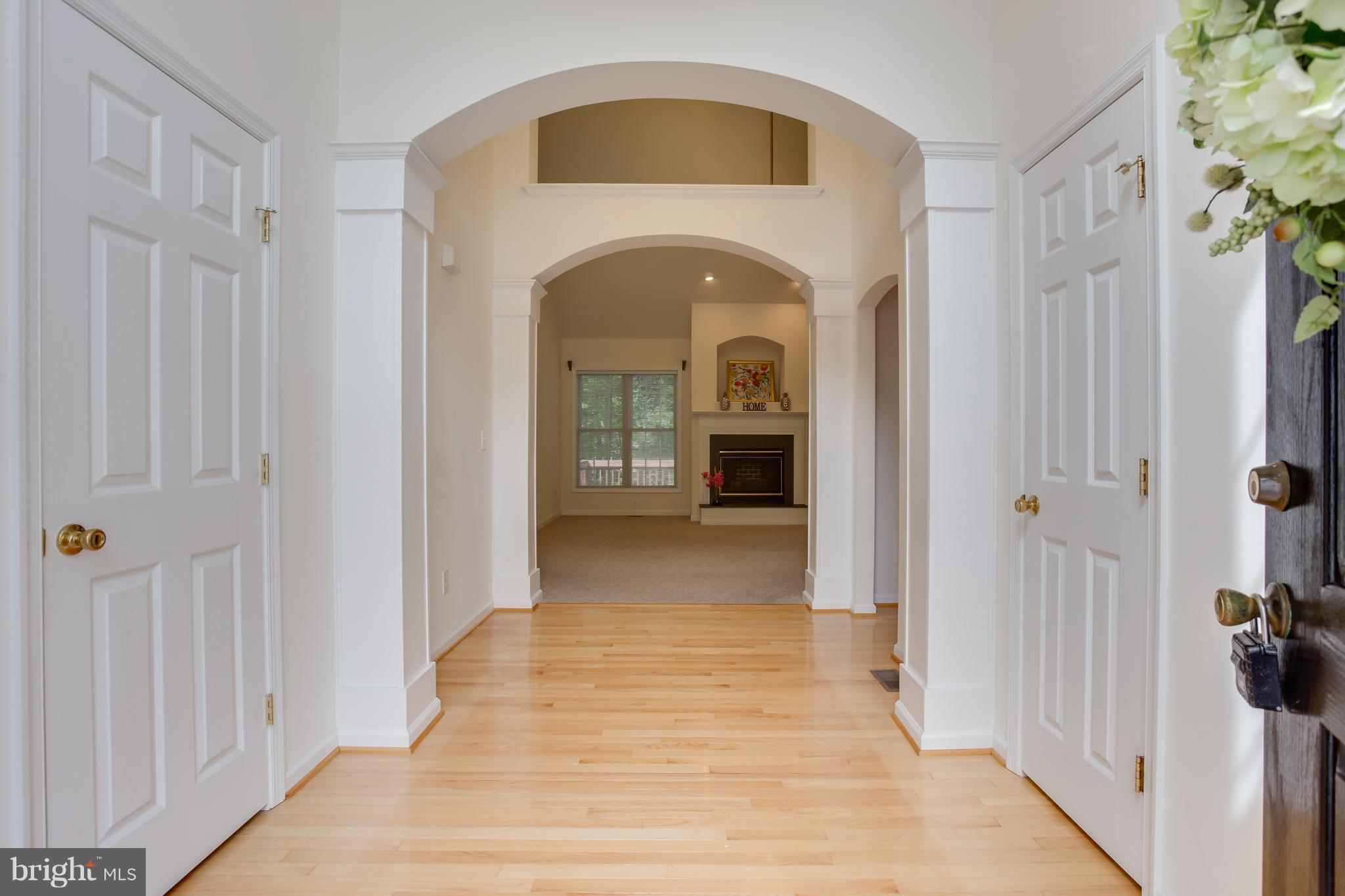 LAKE OF THE WOODS - Residential