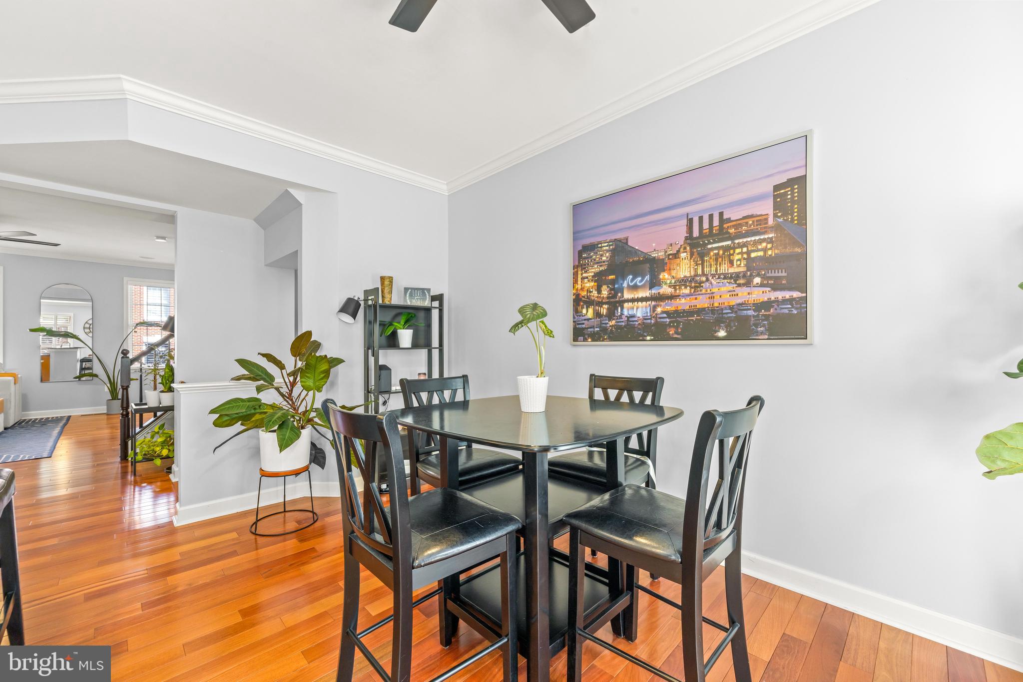 FEDERAL HILL HISTORIC DISTRICT - Residential