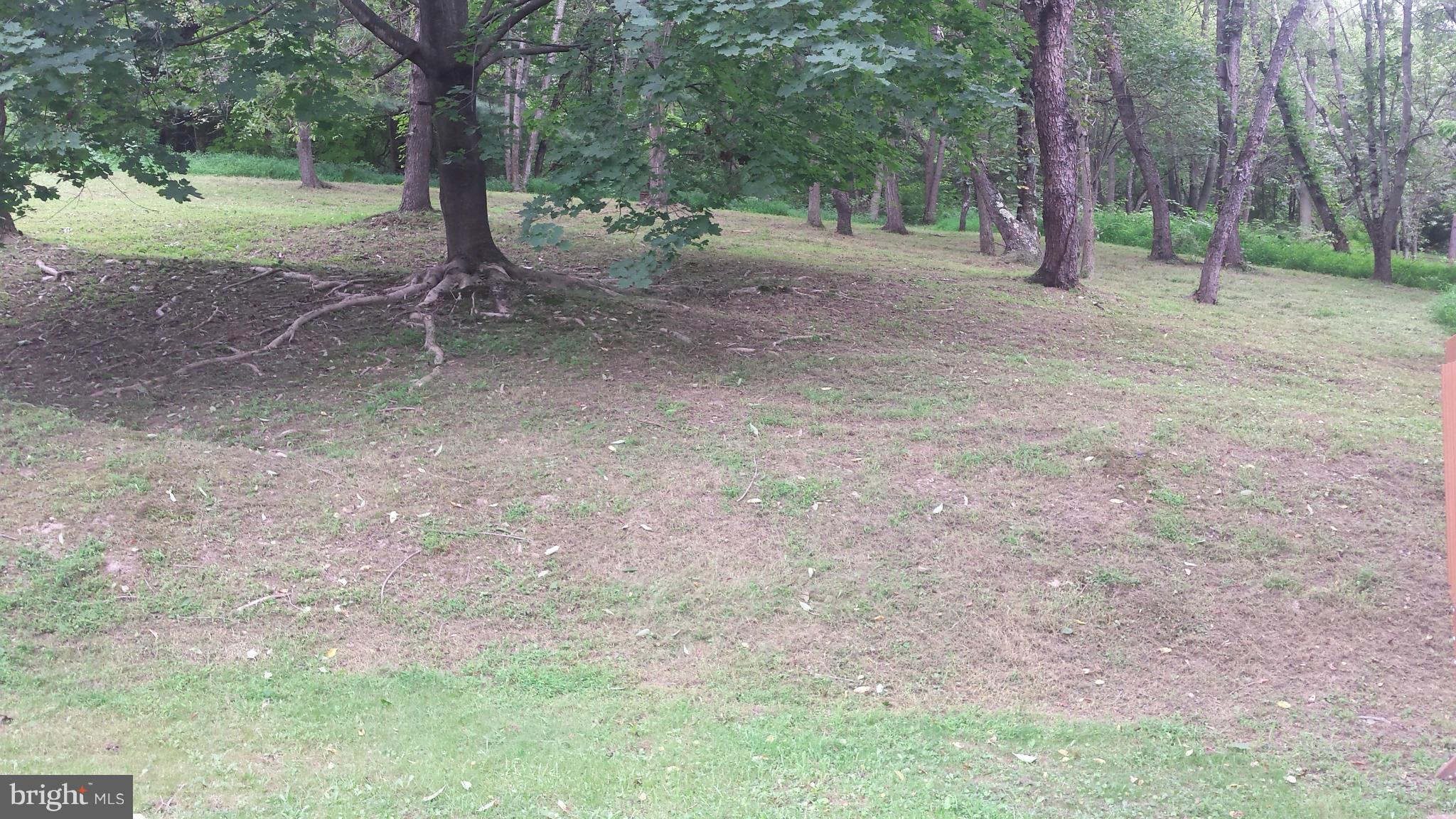 CARPENDALE - Residential