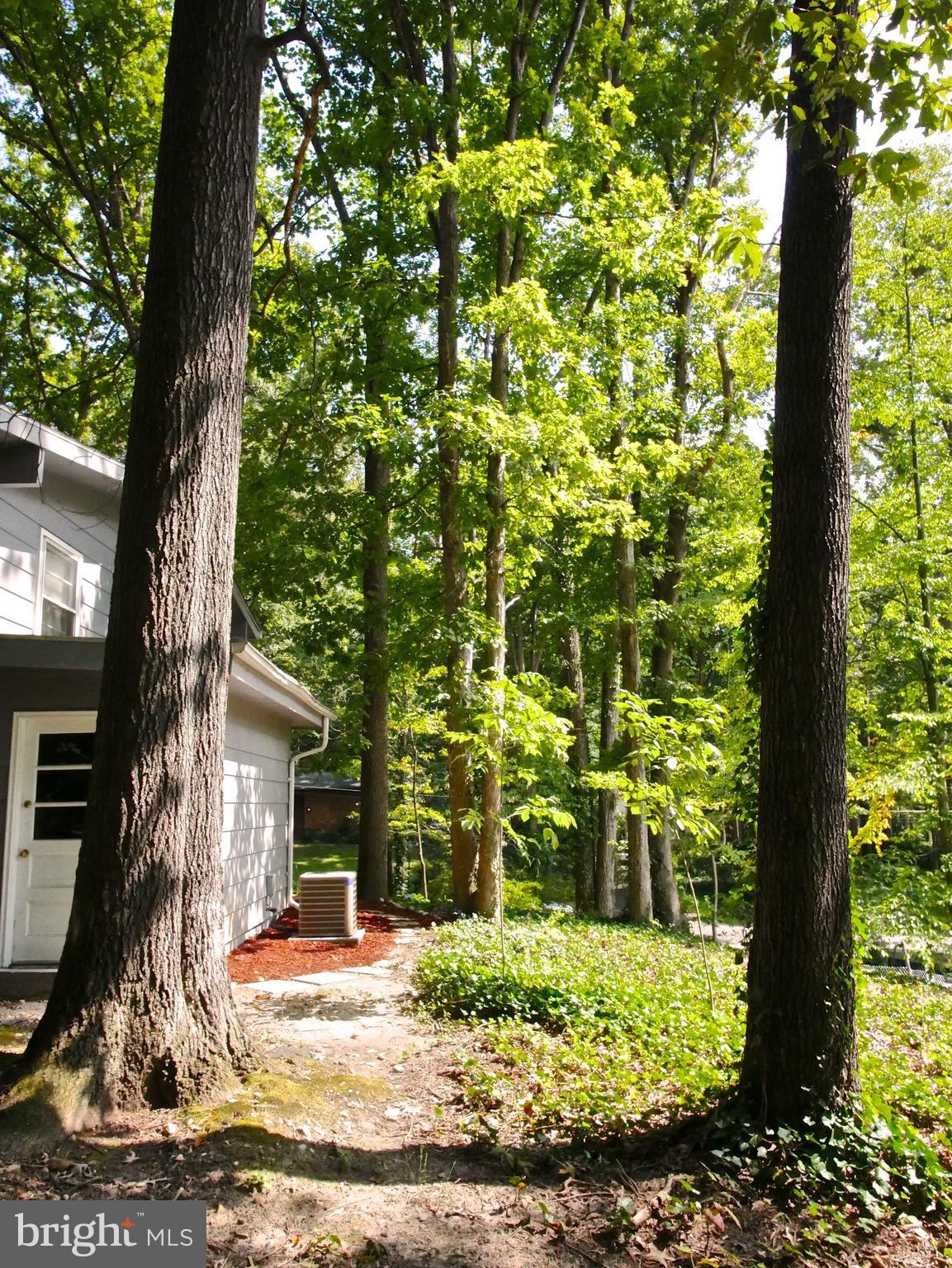 SPRINGVALE - Residential