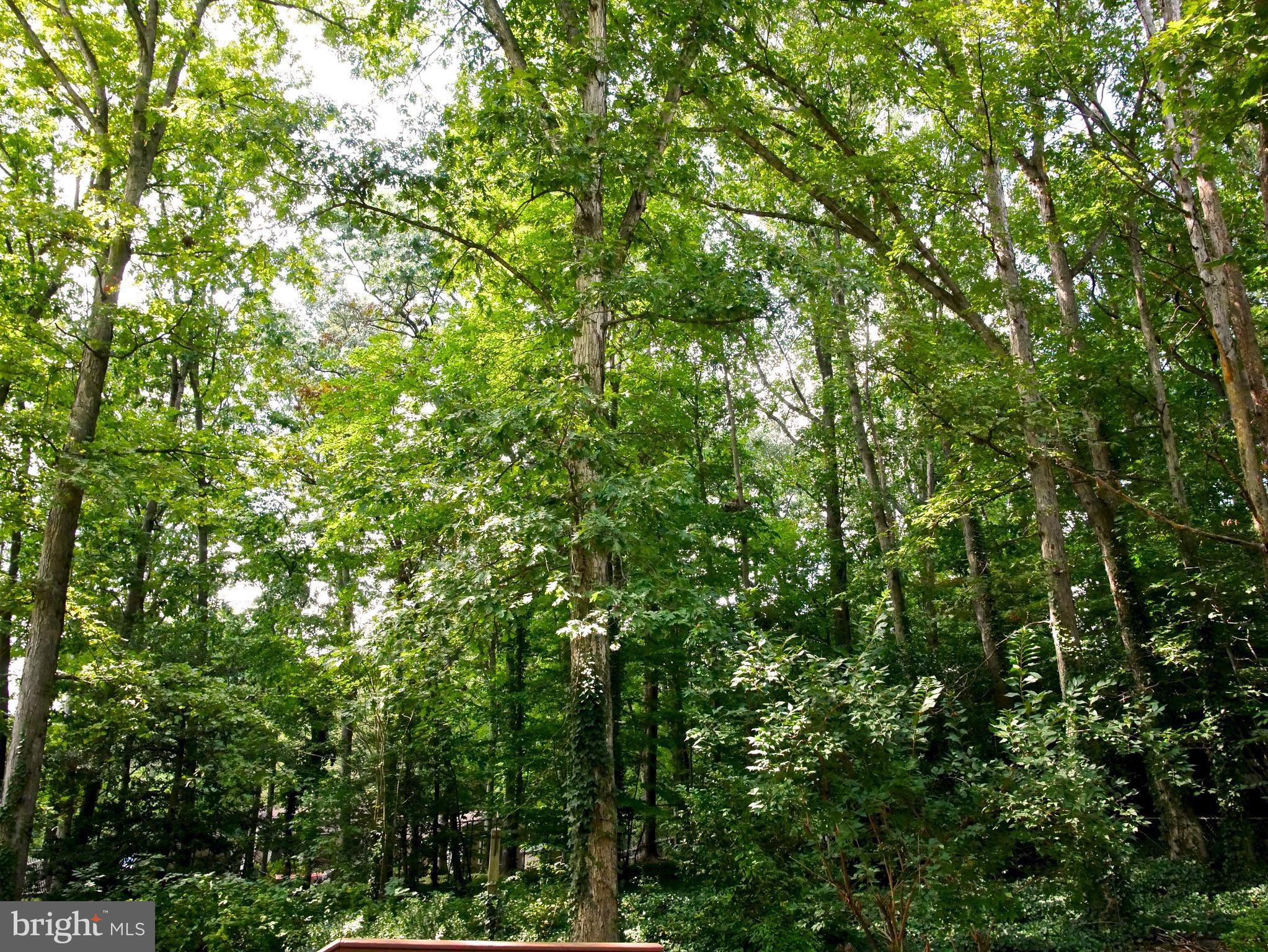 SPRINGVALE - Residential