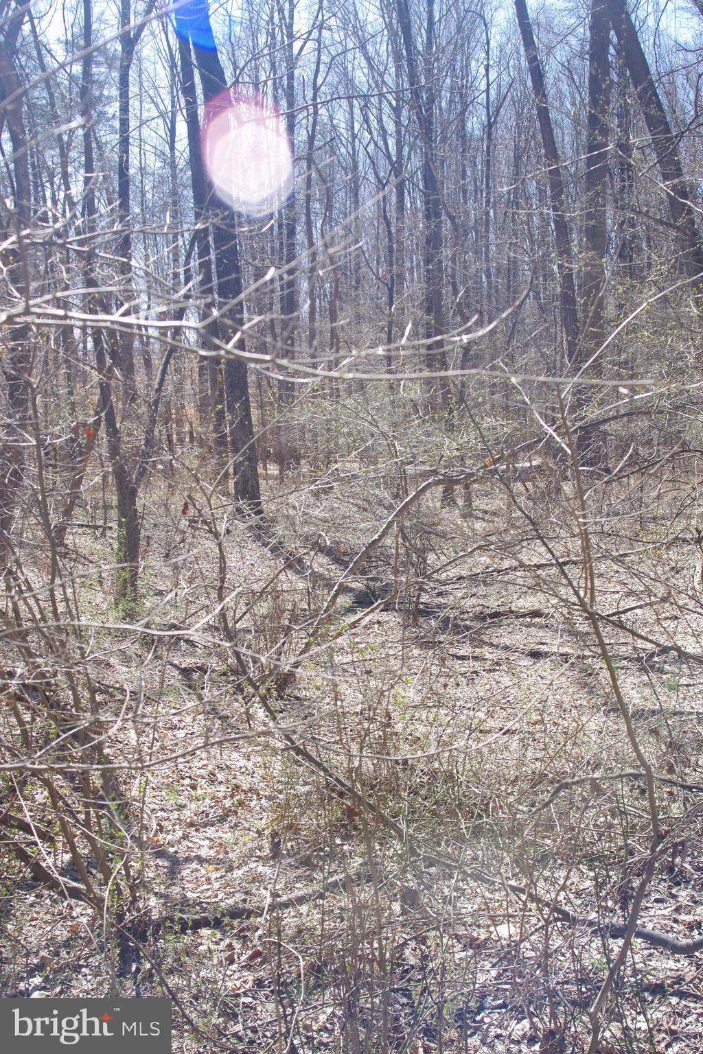 OLD HERALD HARBOR ROAD