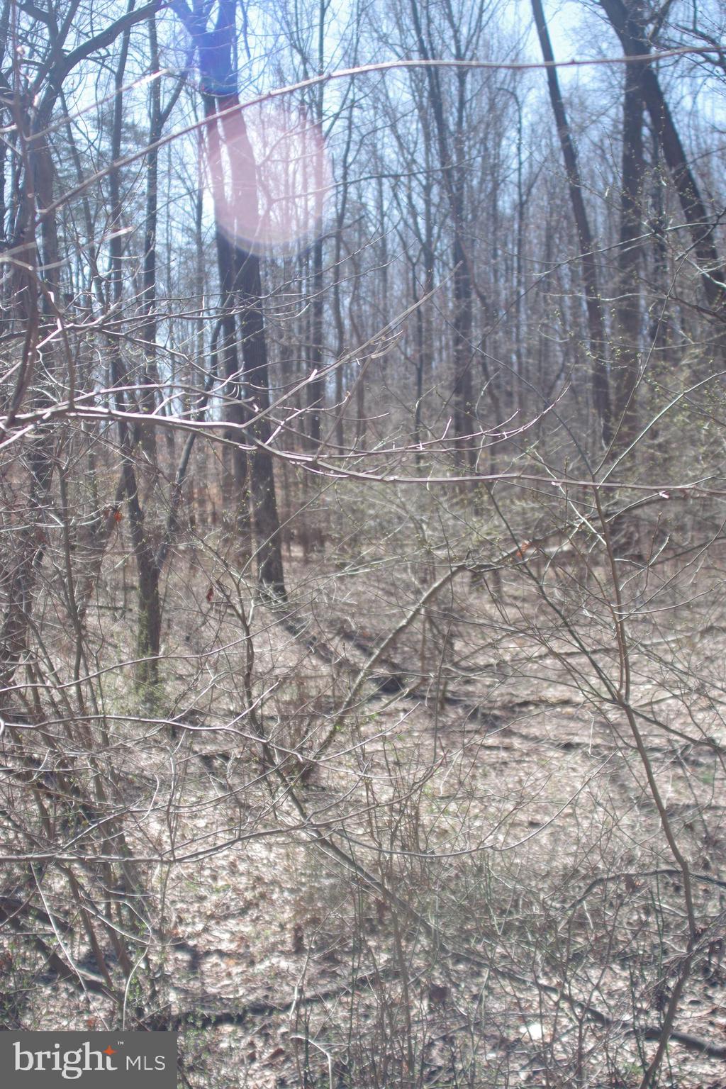 OLD HERALD HARBOR ROAD