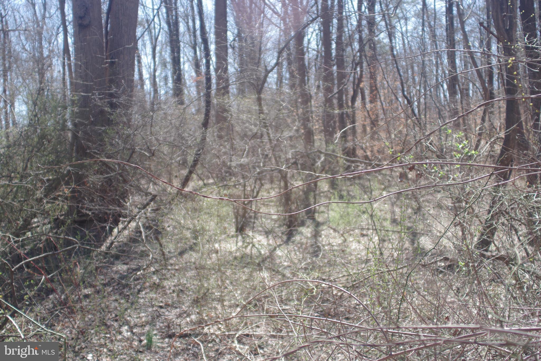 OLD HERALD HARBOR ROAD