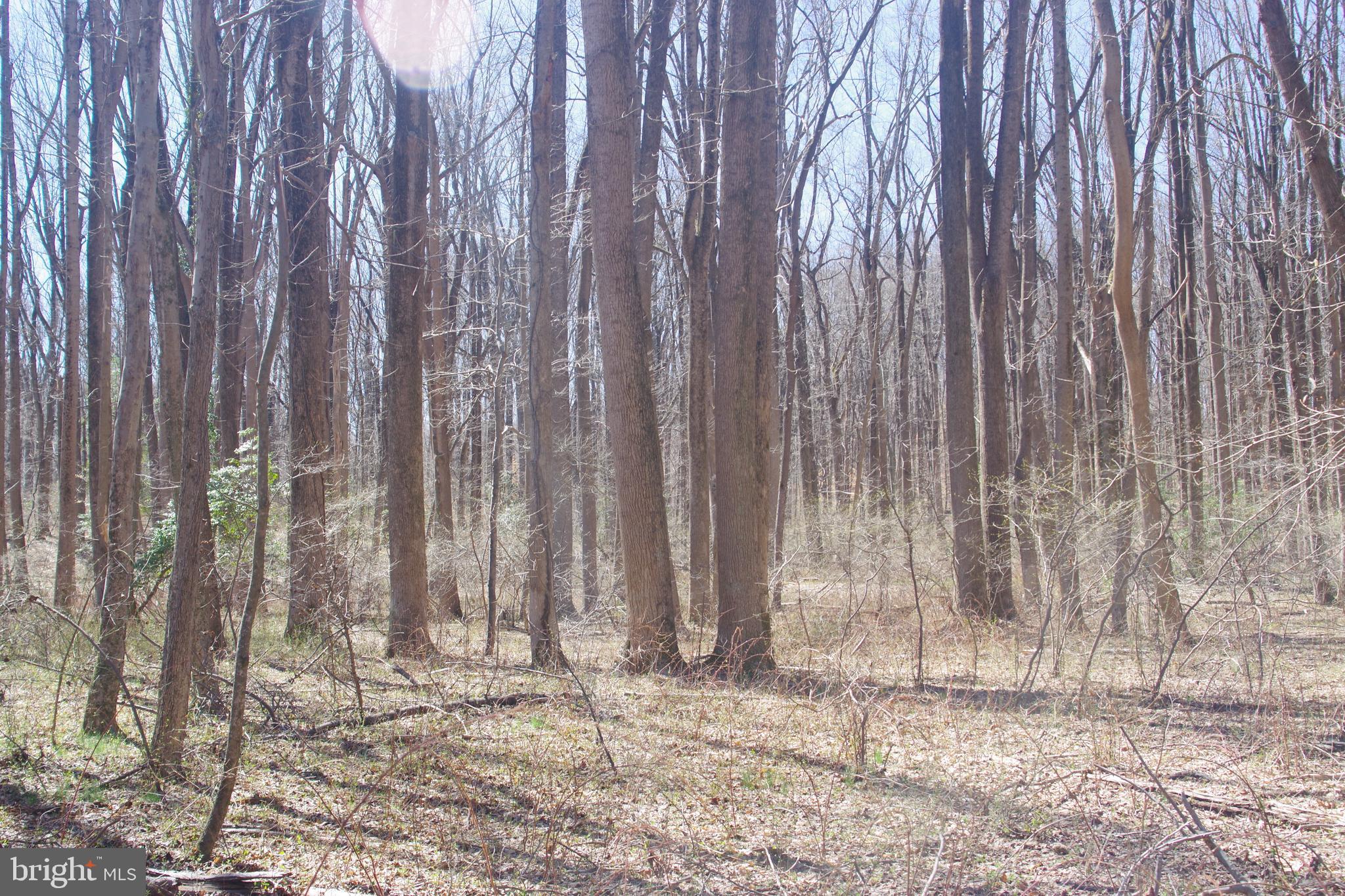 OLD HERALD HARBOR ROAD