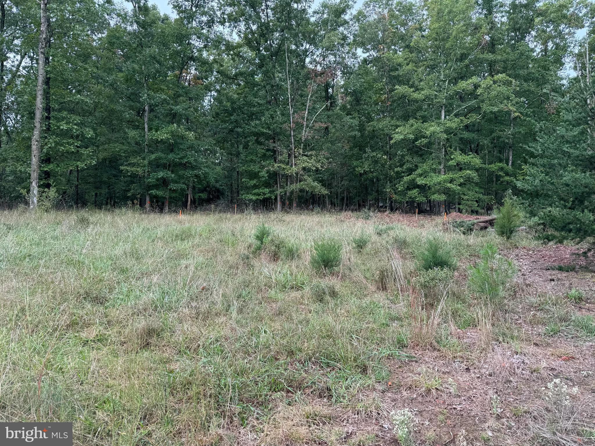 DRY RUN - Residential