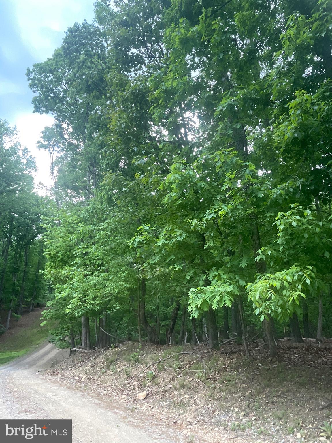 Lot 24 MAPLE LANE