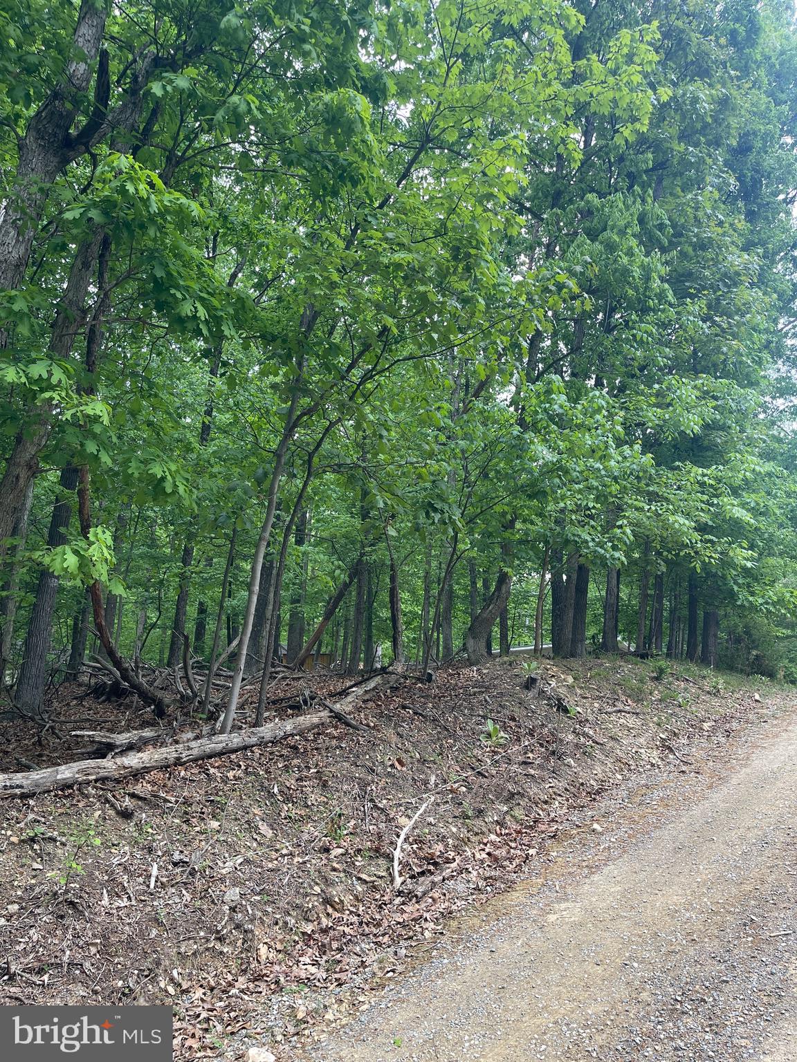 Lot 24 MAPLE LANE