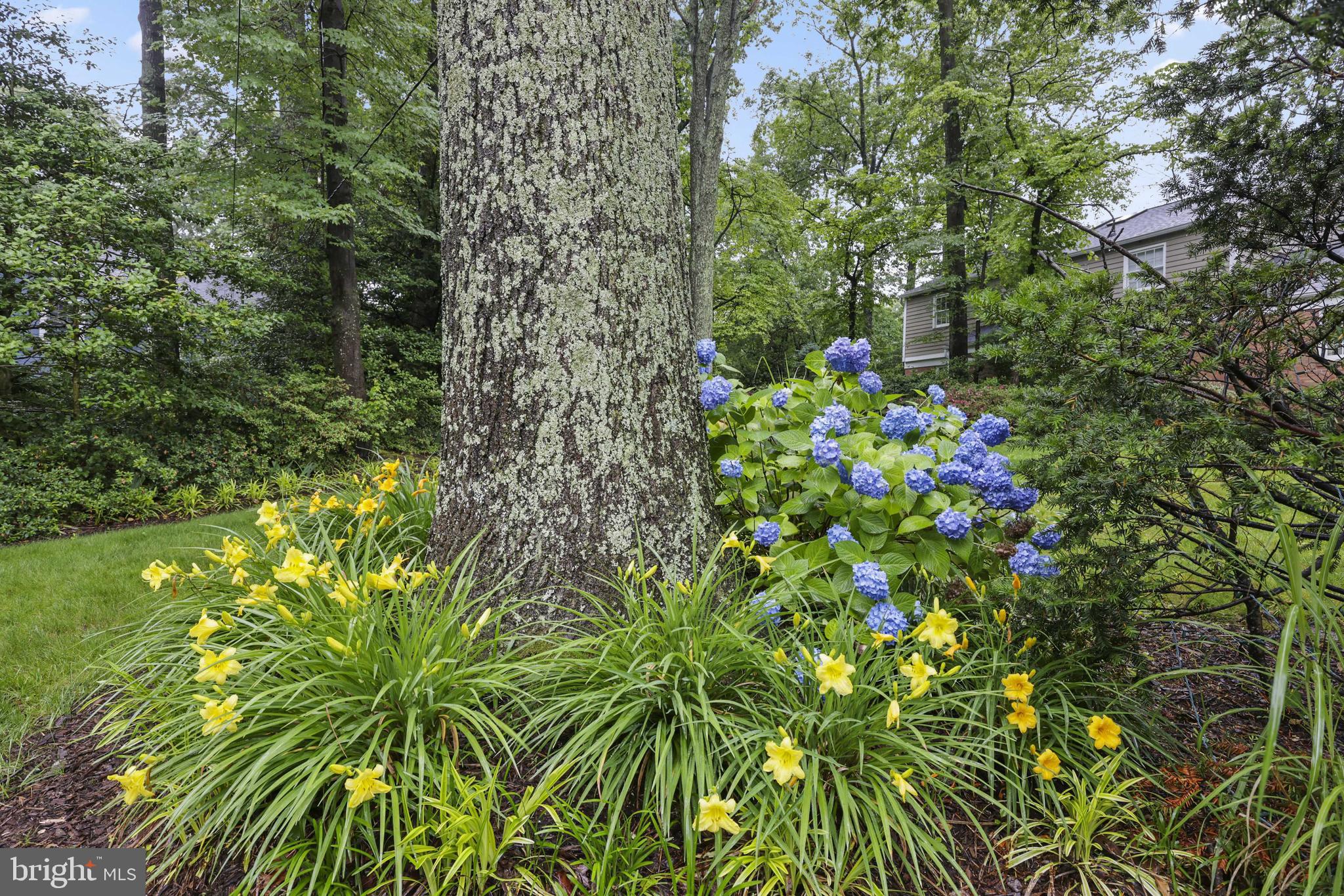 FAIR OAKS ON THE MAGOTHY - Residential