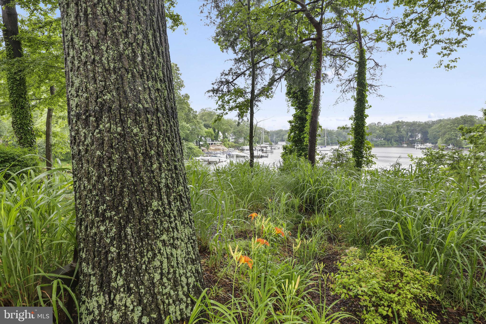 FAIR OAKS ON THE MAGOTHY - Residential