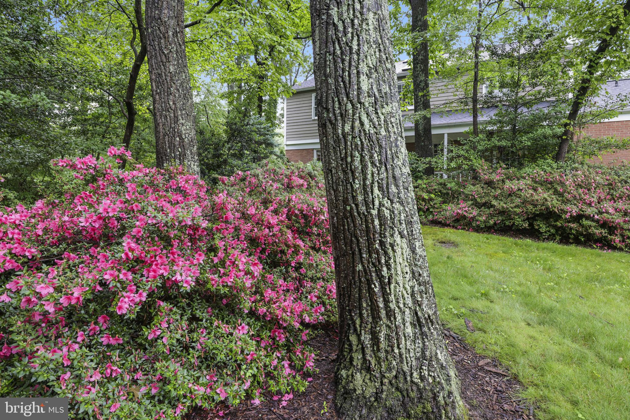 FAIR OAKS ON THE MAGOTHY - Residential