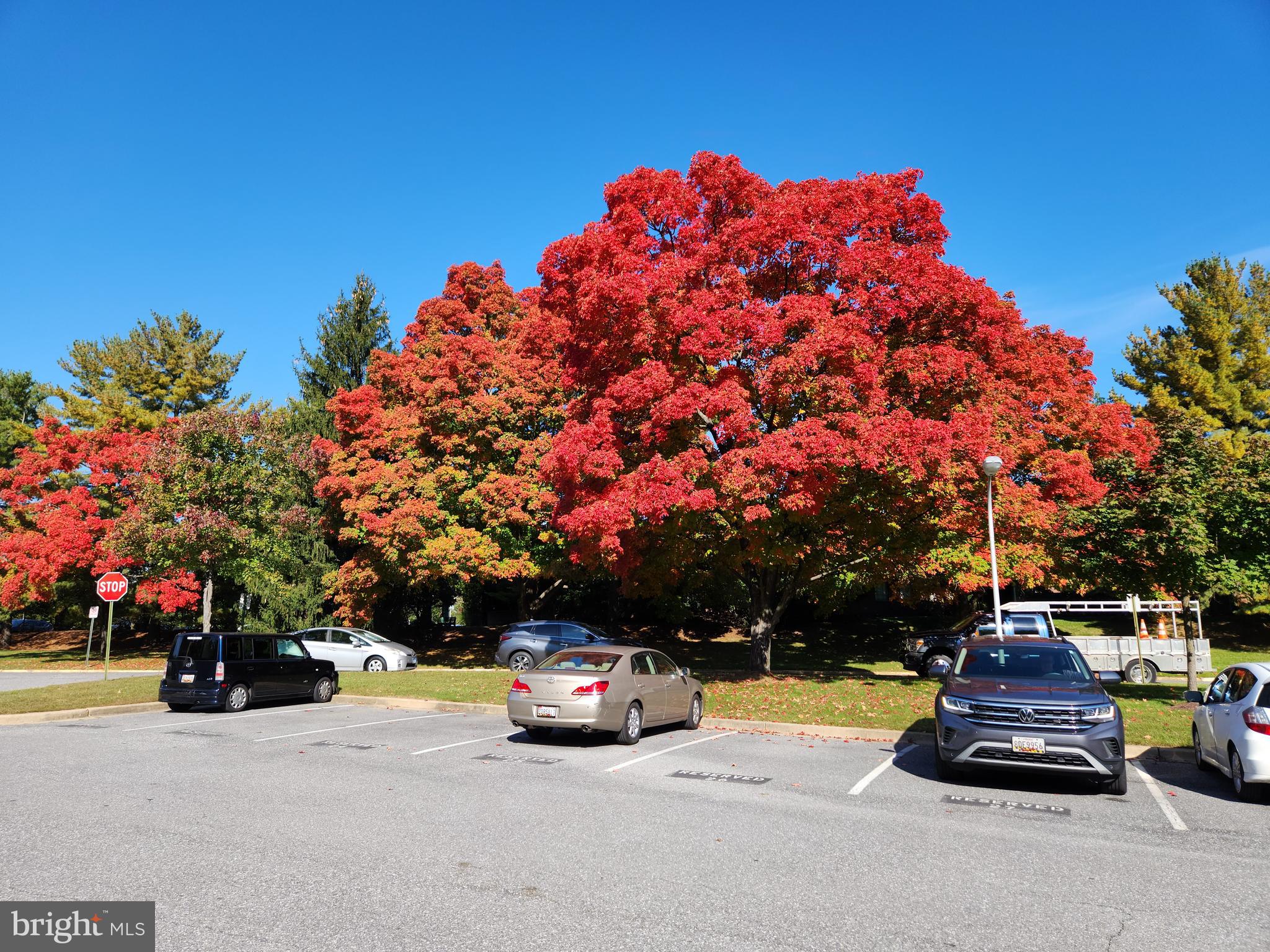 LEISURE WORLD - Residential