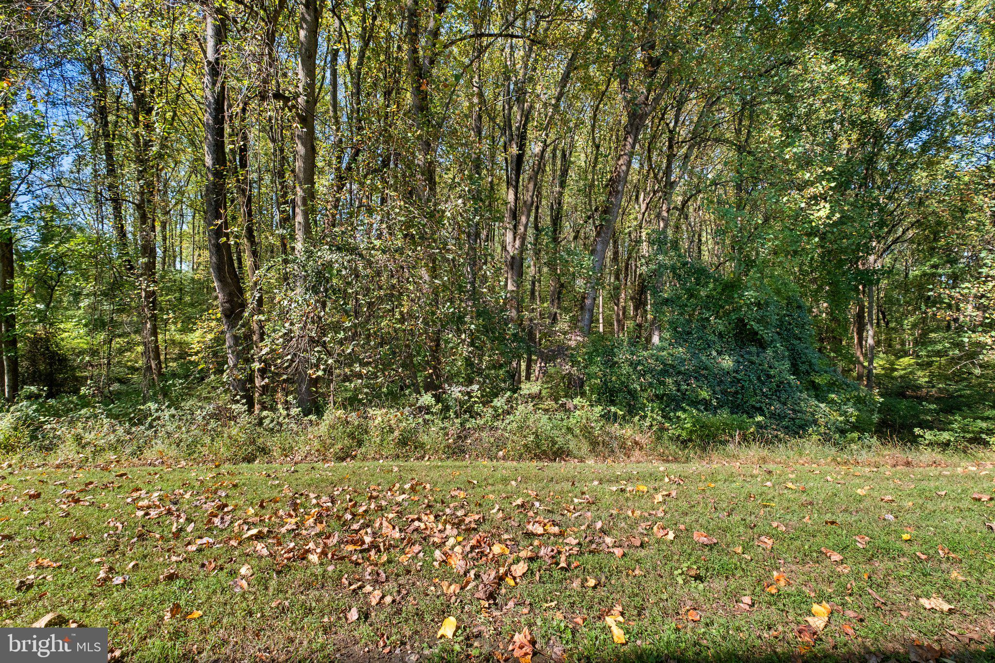 HUNTERS CREEK FARM - Residential