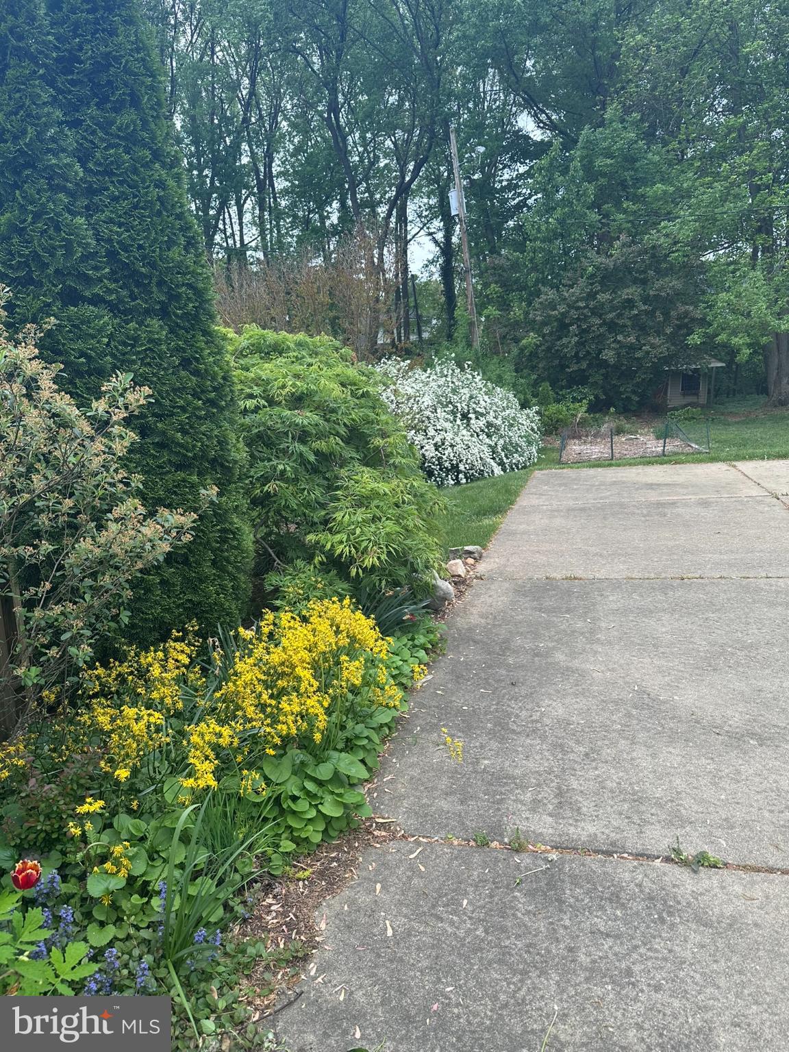 WEBSTER FARM - Residential