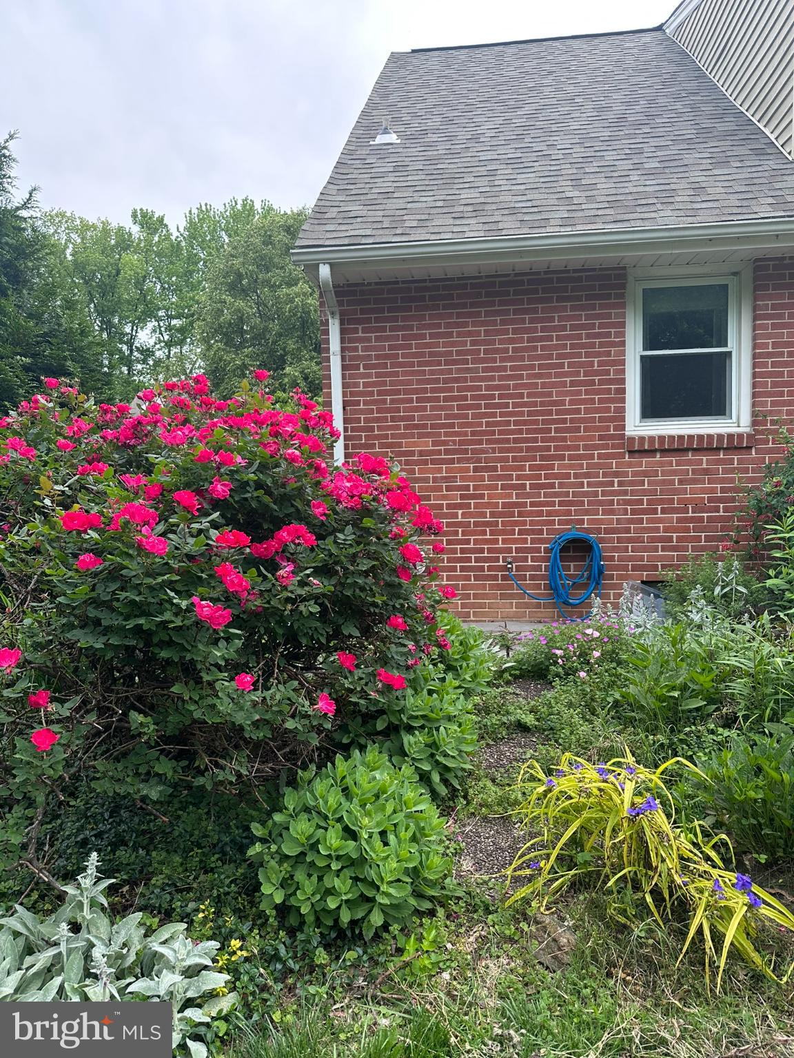 WEBSTER FARM - Residential
