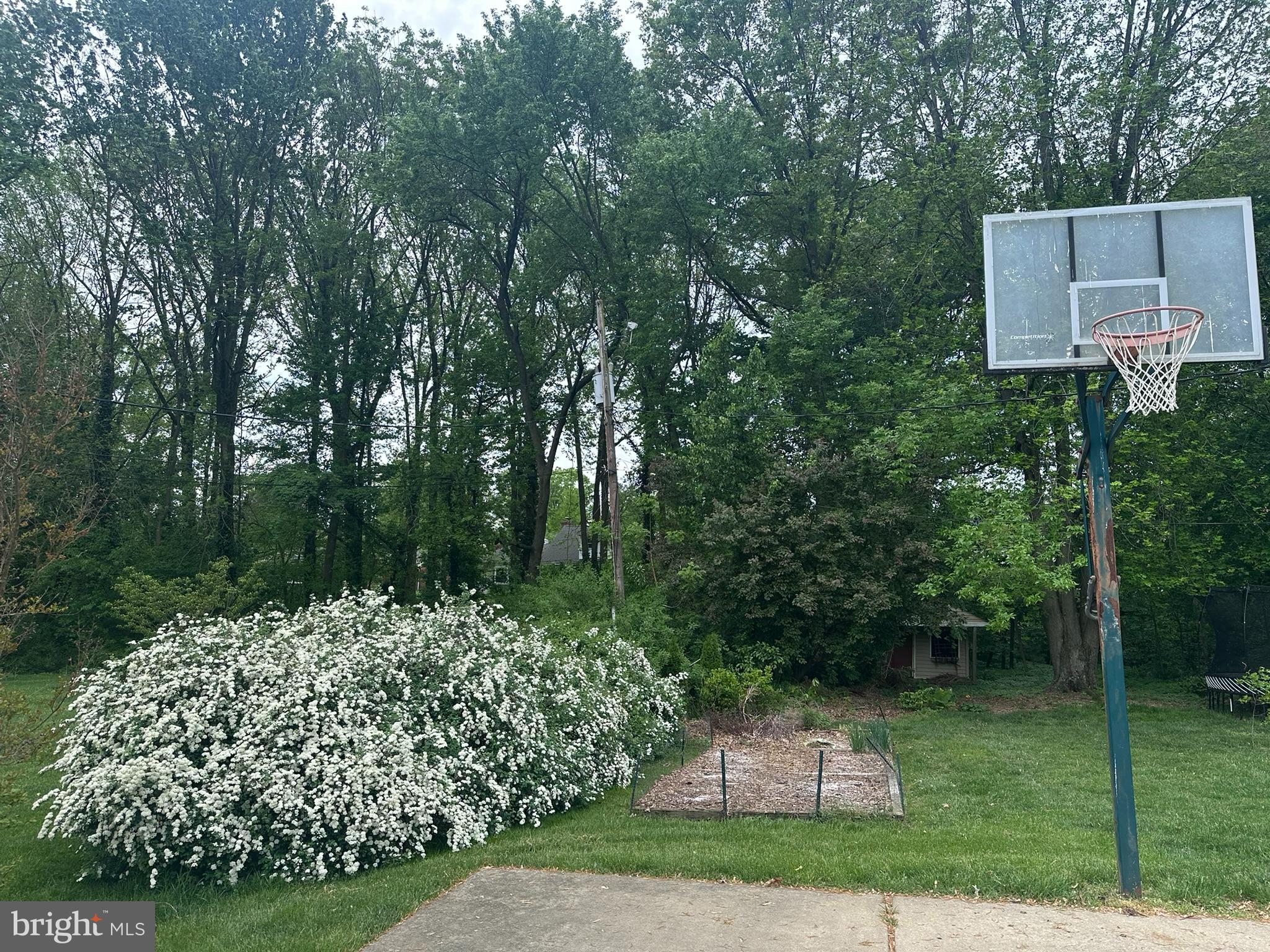 WEBSTER FARM - Residential