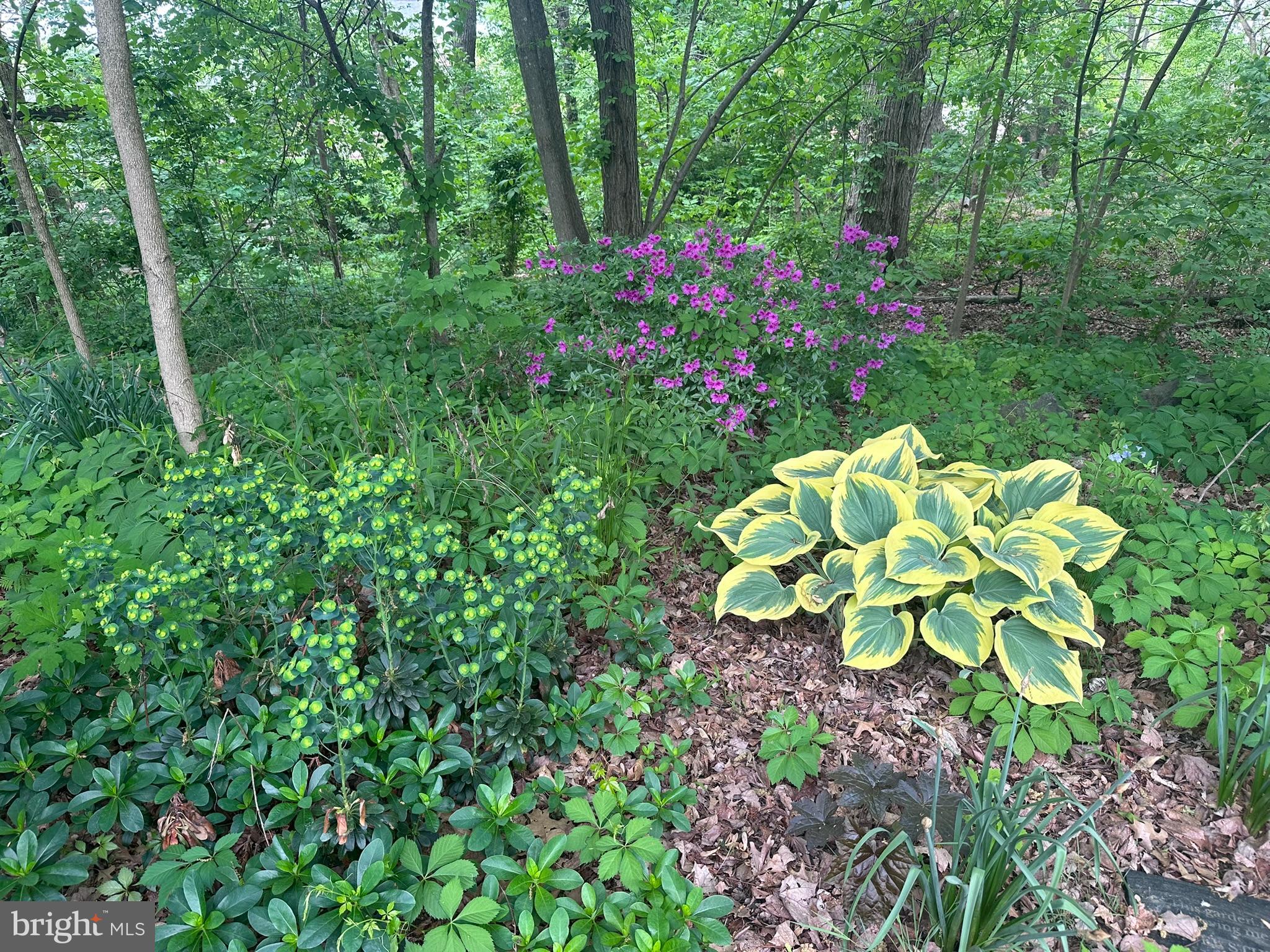 WEBSTER FARM - Residential