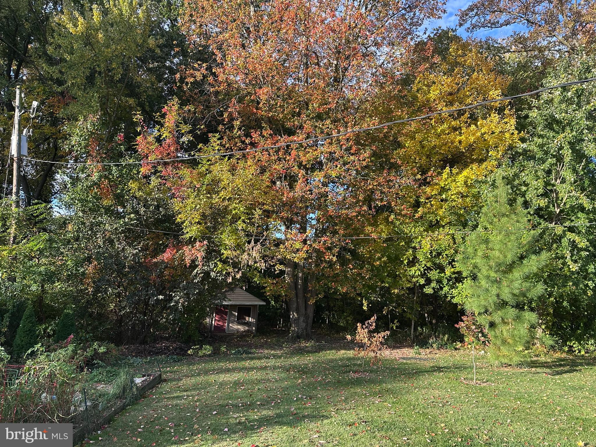 WEBSTER FARM - Residential