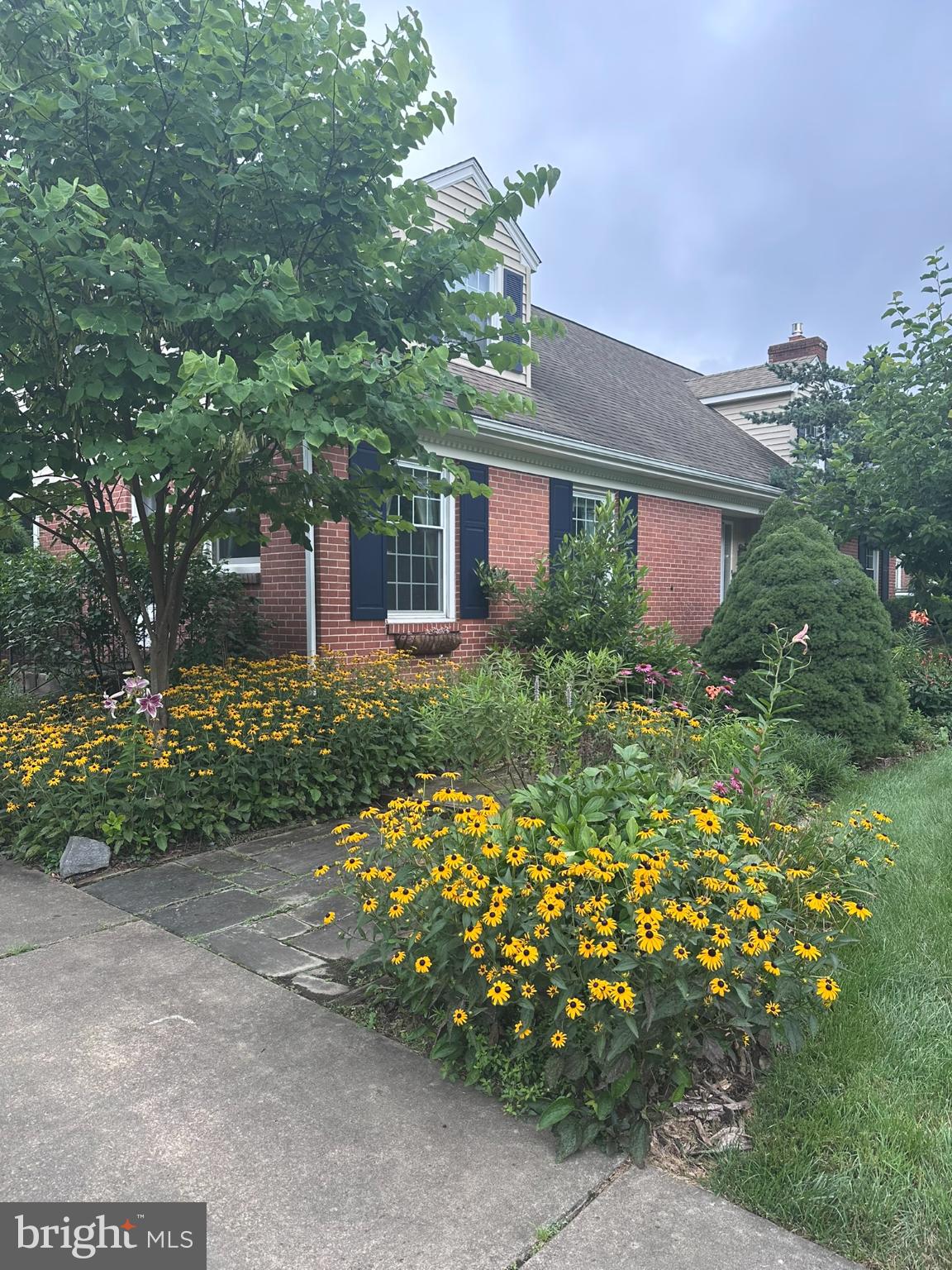 WEBSTER FARM - Residential