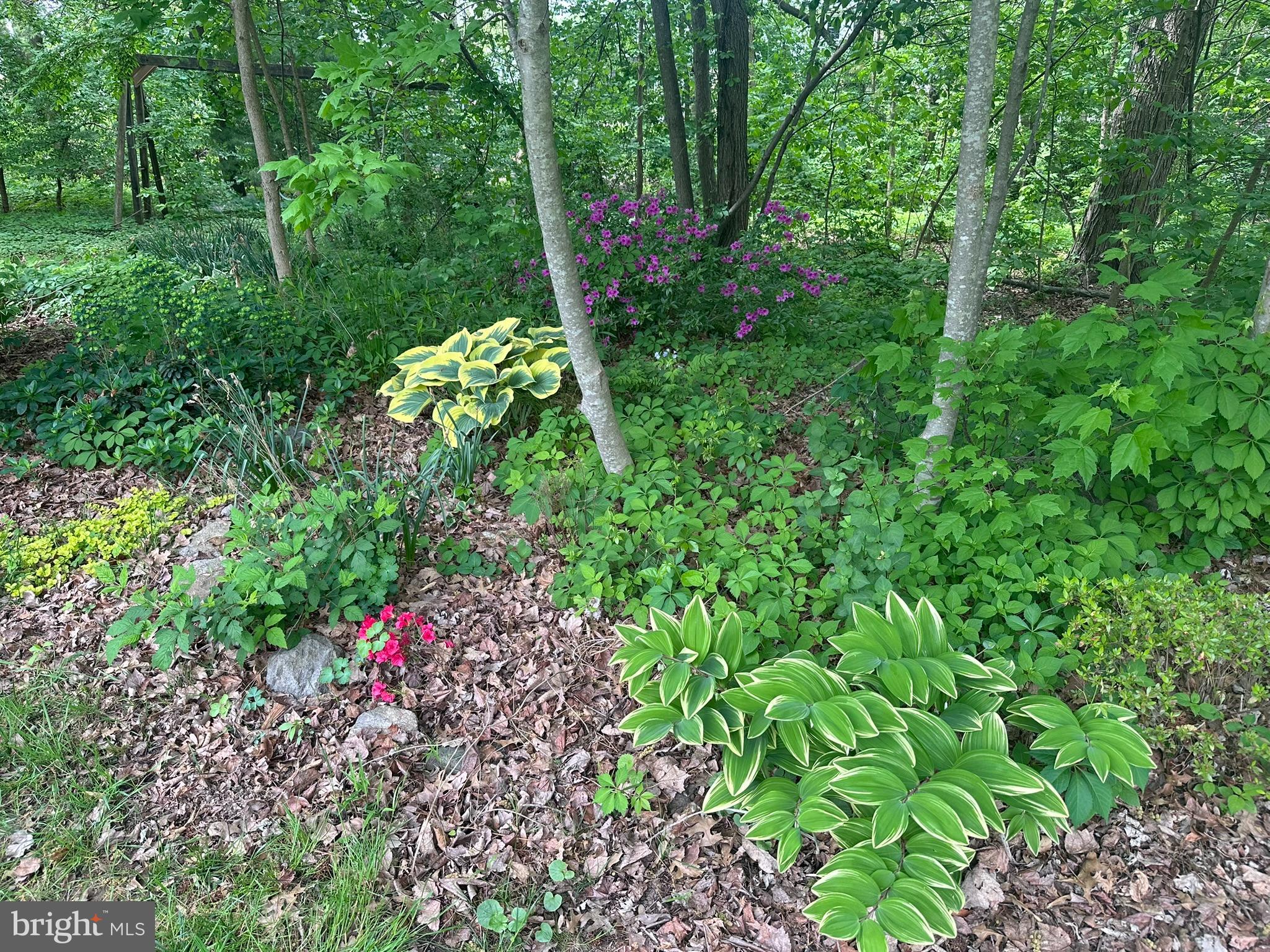 WEBSTER FARM - Residential