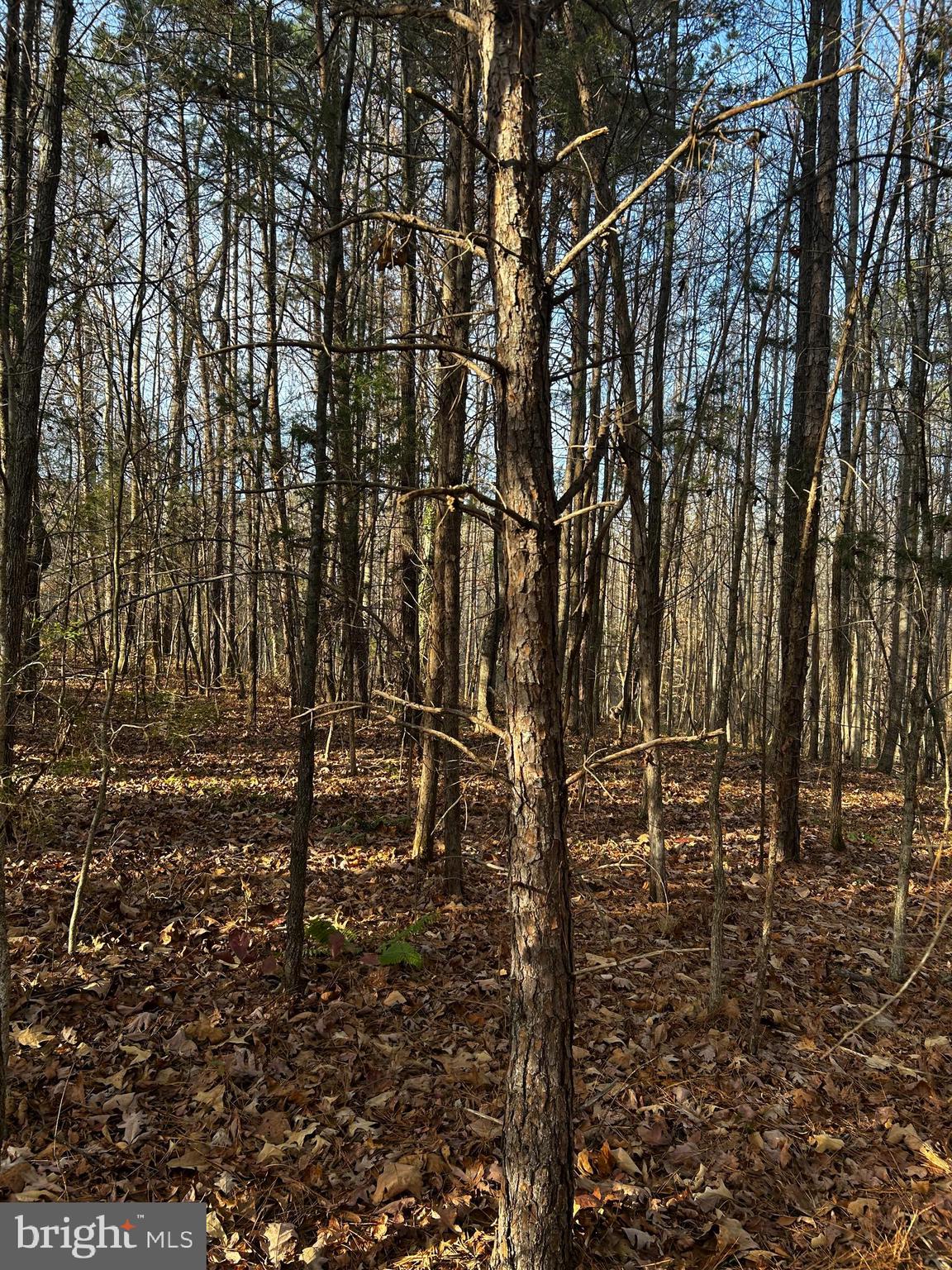 NONE AVAILABLE - Land