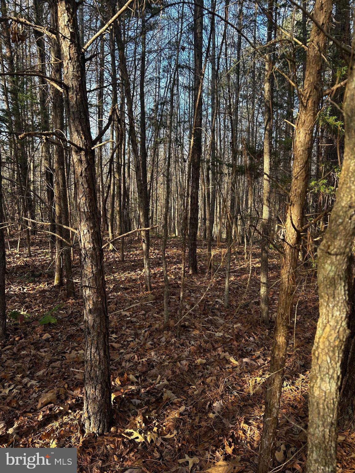 NONE AVAILABLE - Land