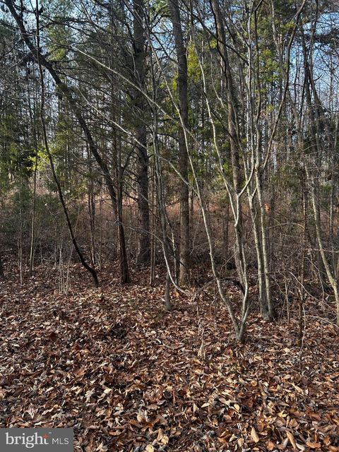 Vacant Land For Sale - Bagwell Drive<br/> SCOTTSBURG, VA 24589