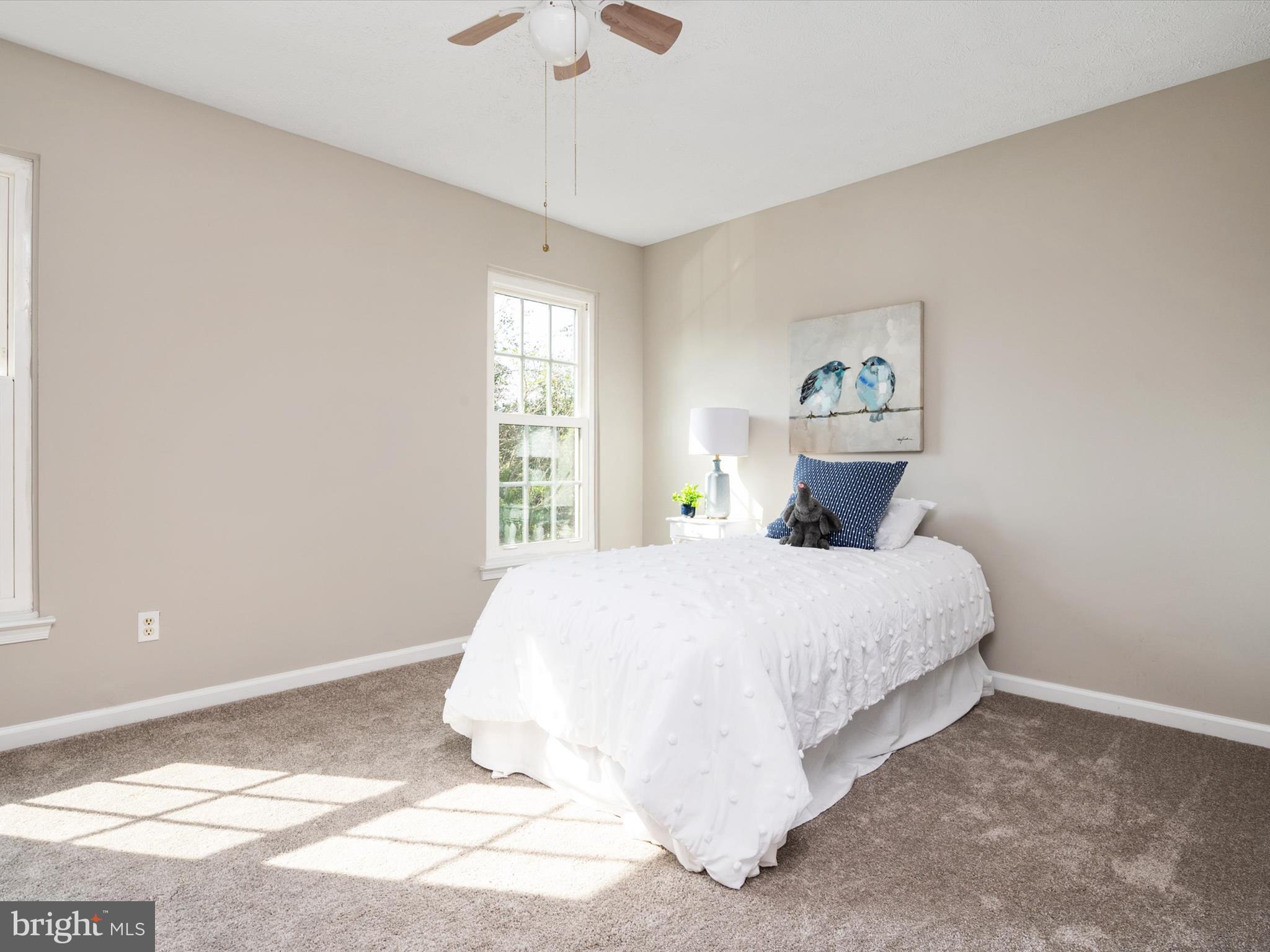 MOUNT AUGUSTINE - Residential