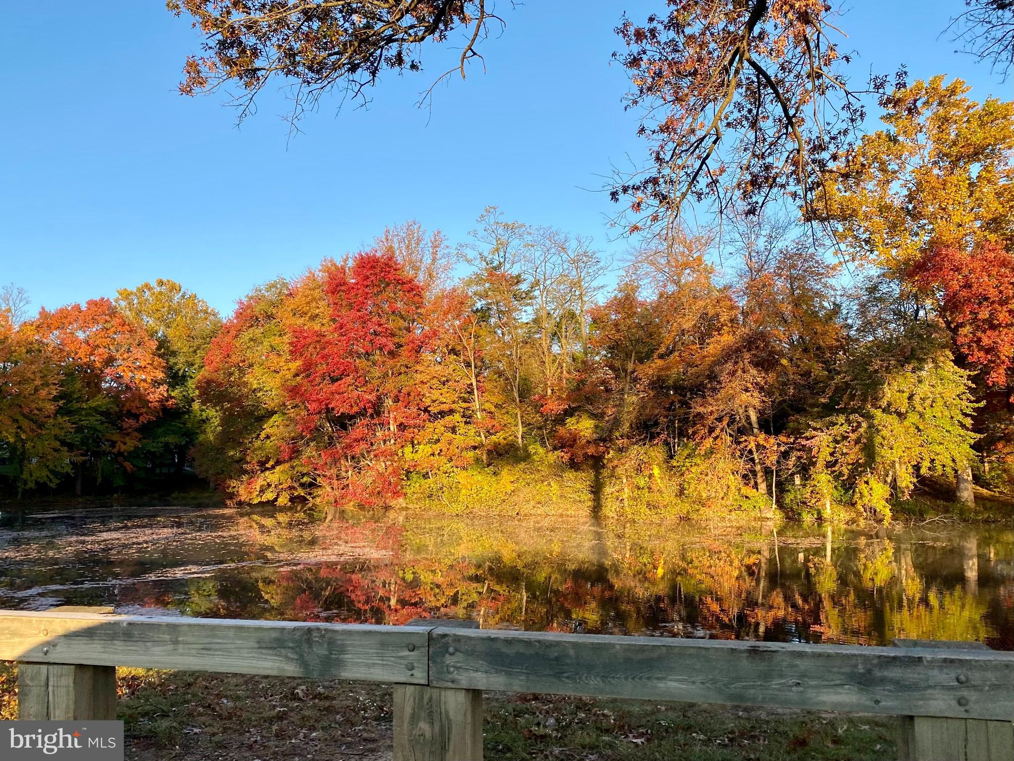 KENTLANDS - Residential