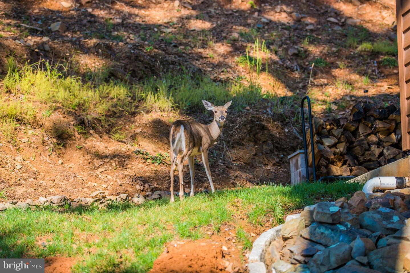 HIGH KNOB - Residential