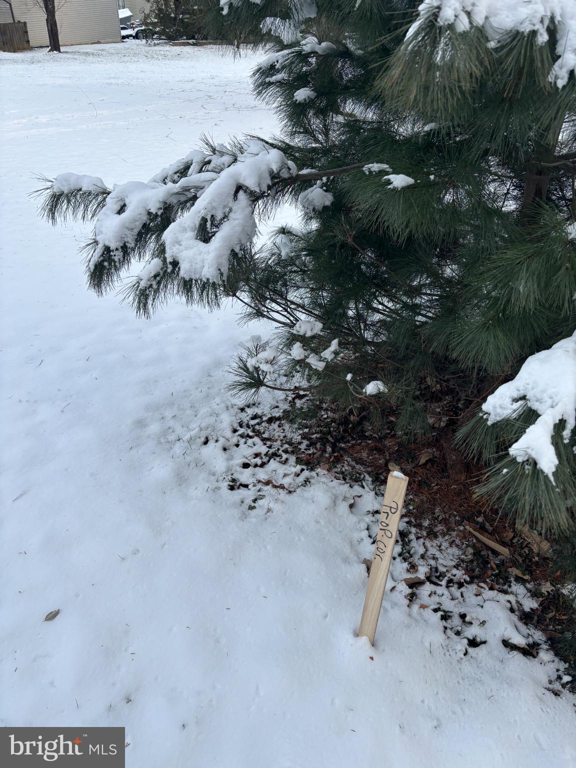 ORCHARD RIDGE - Land