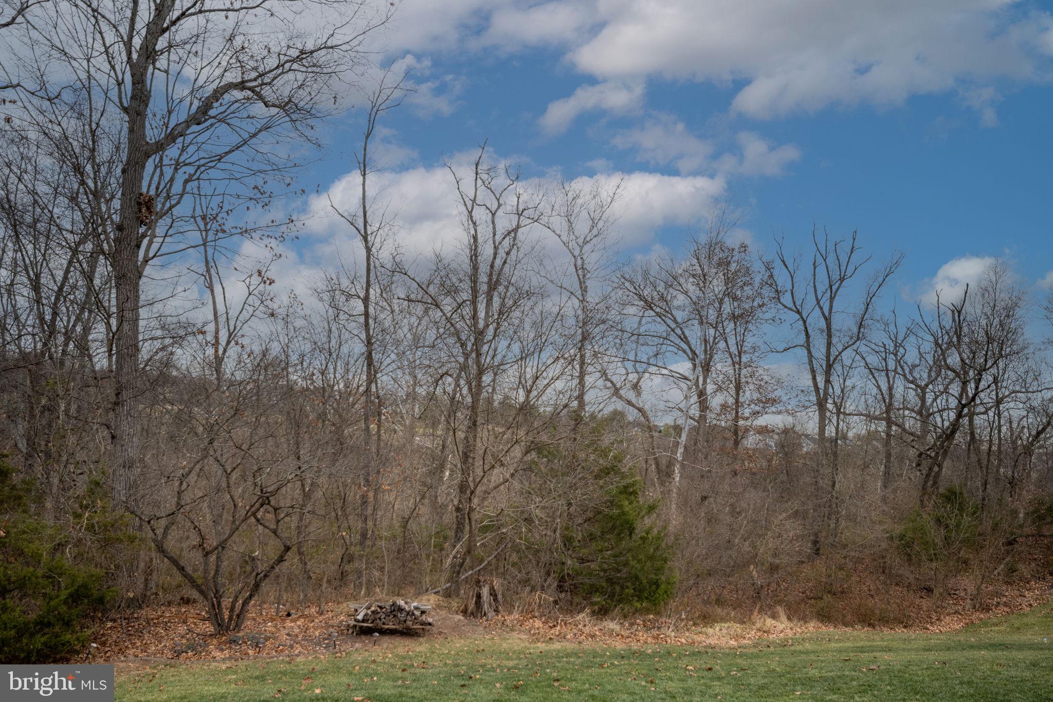 PIEDMONT SOUTH - Residential