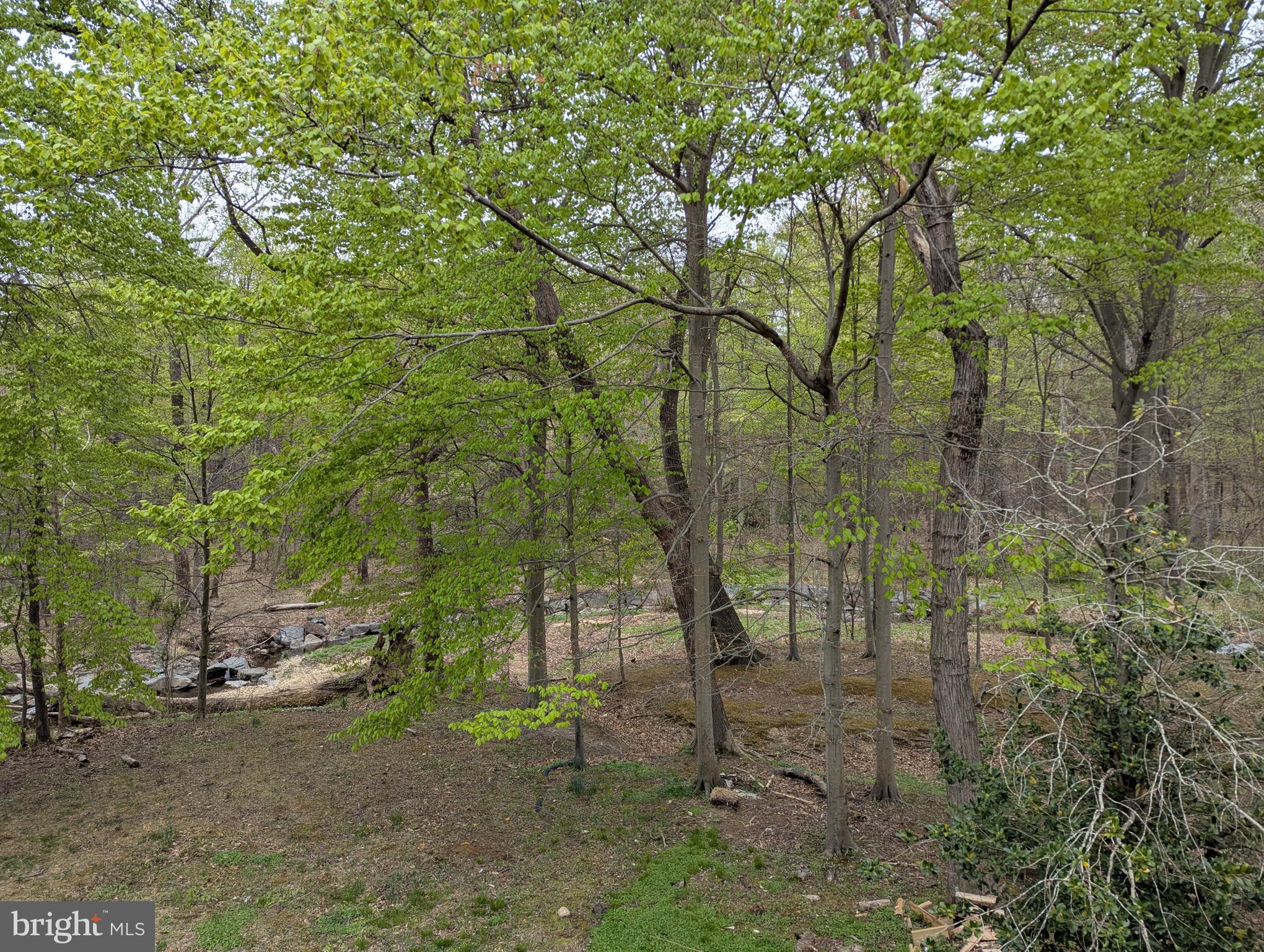 VILLAGE OF NEARBROOK - Residential Lease