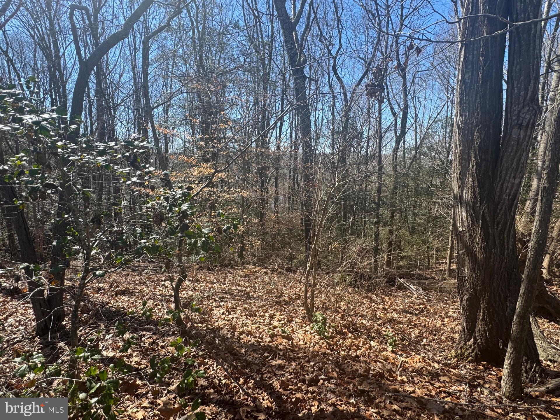 BERRY HILL RIDGE - Residential