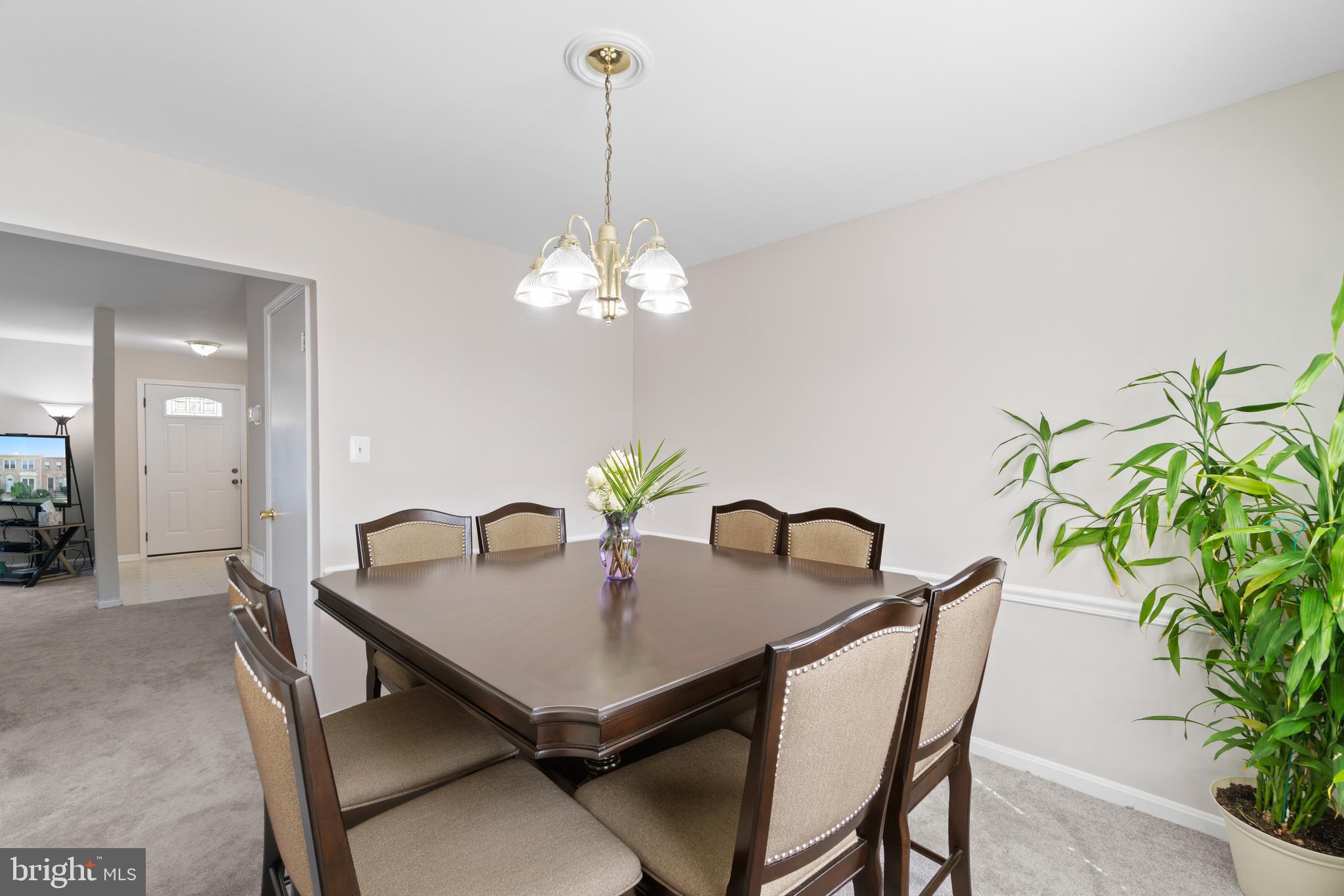 THE VILLAGE PARK - Residential