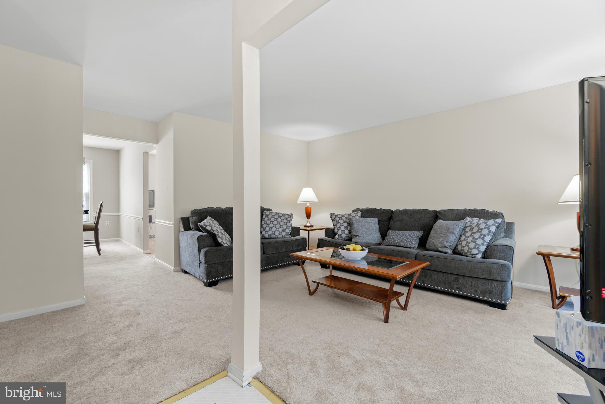 THE VILLAGE PARK - Residential