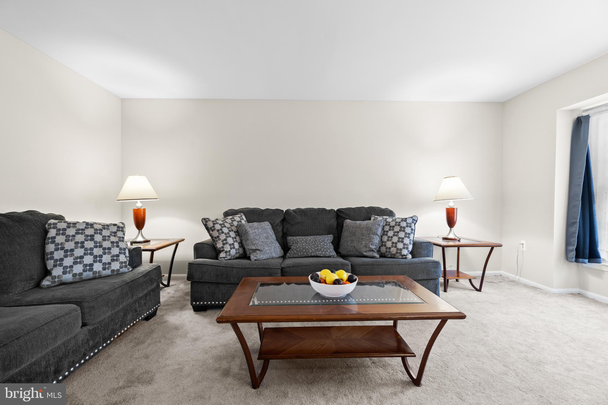 THE VILLAGE PARK - Residential