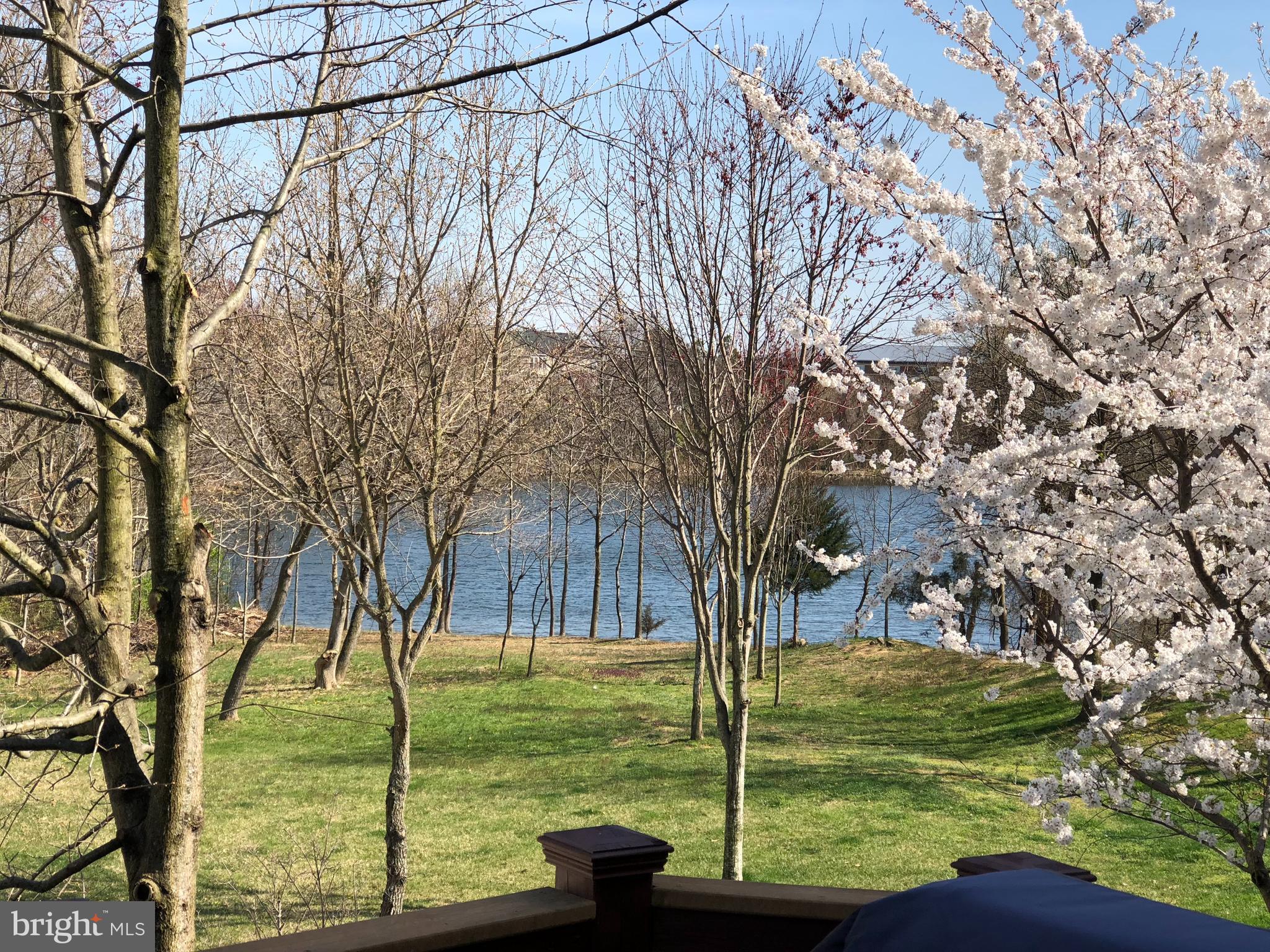 LAUREL HILL - Residential