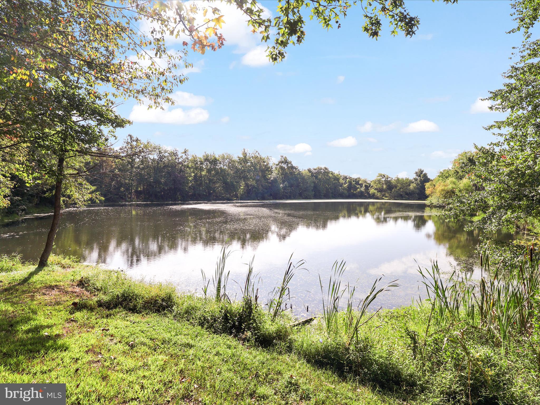 LAUREL HILL - Residential