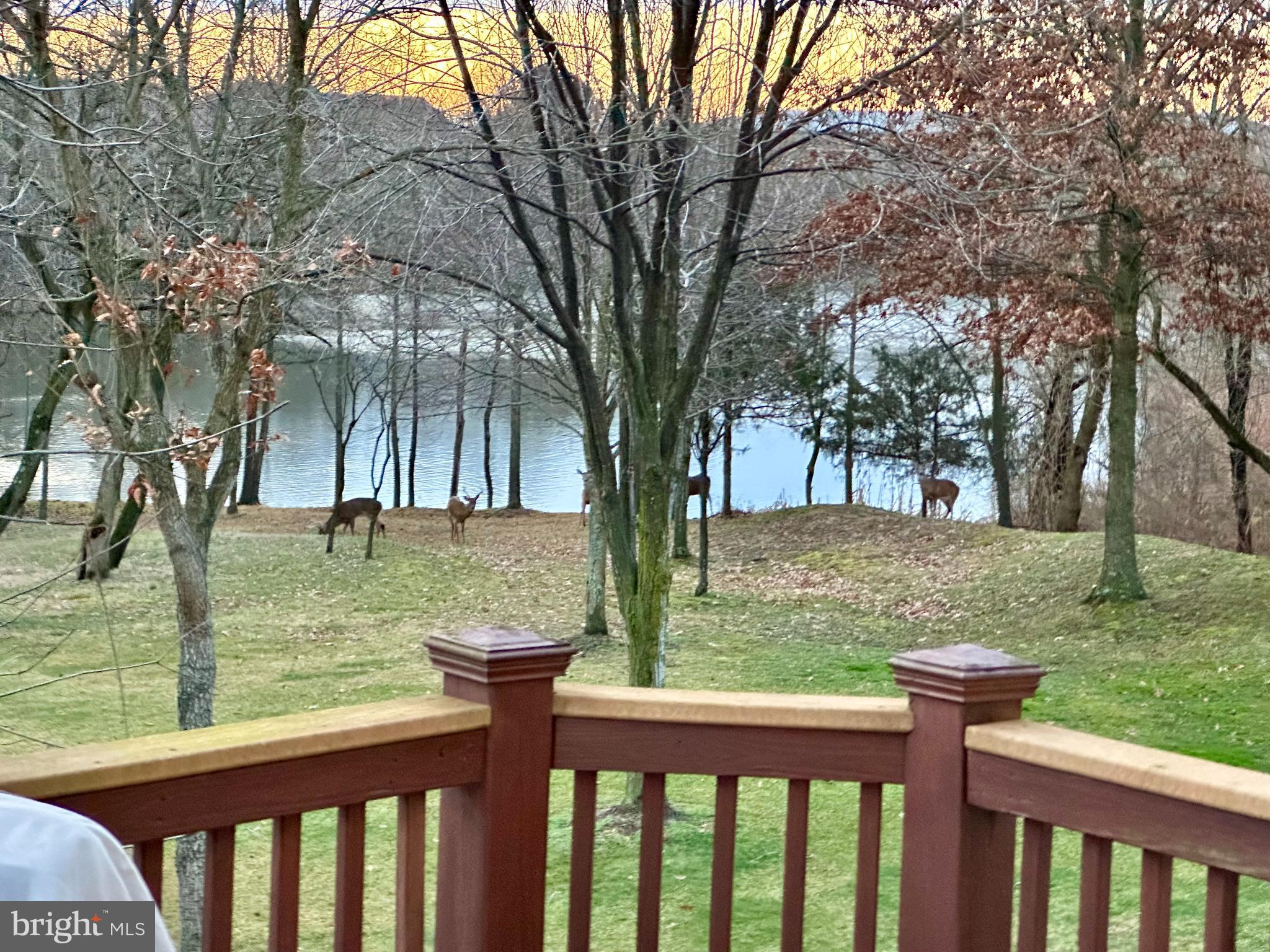 LAUREL HILL - Residential