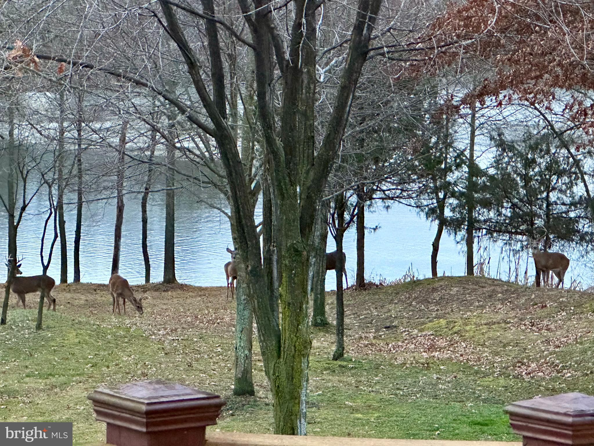 LAUREL HILL - Residential