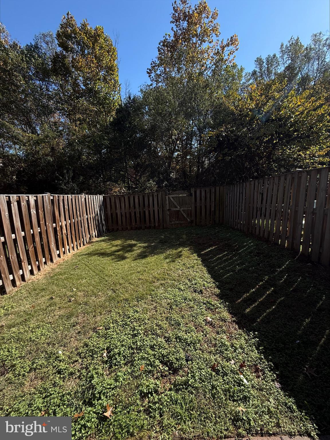 SPRING KNOLL - Residential Lease