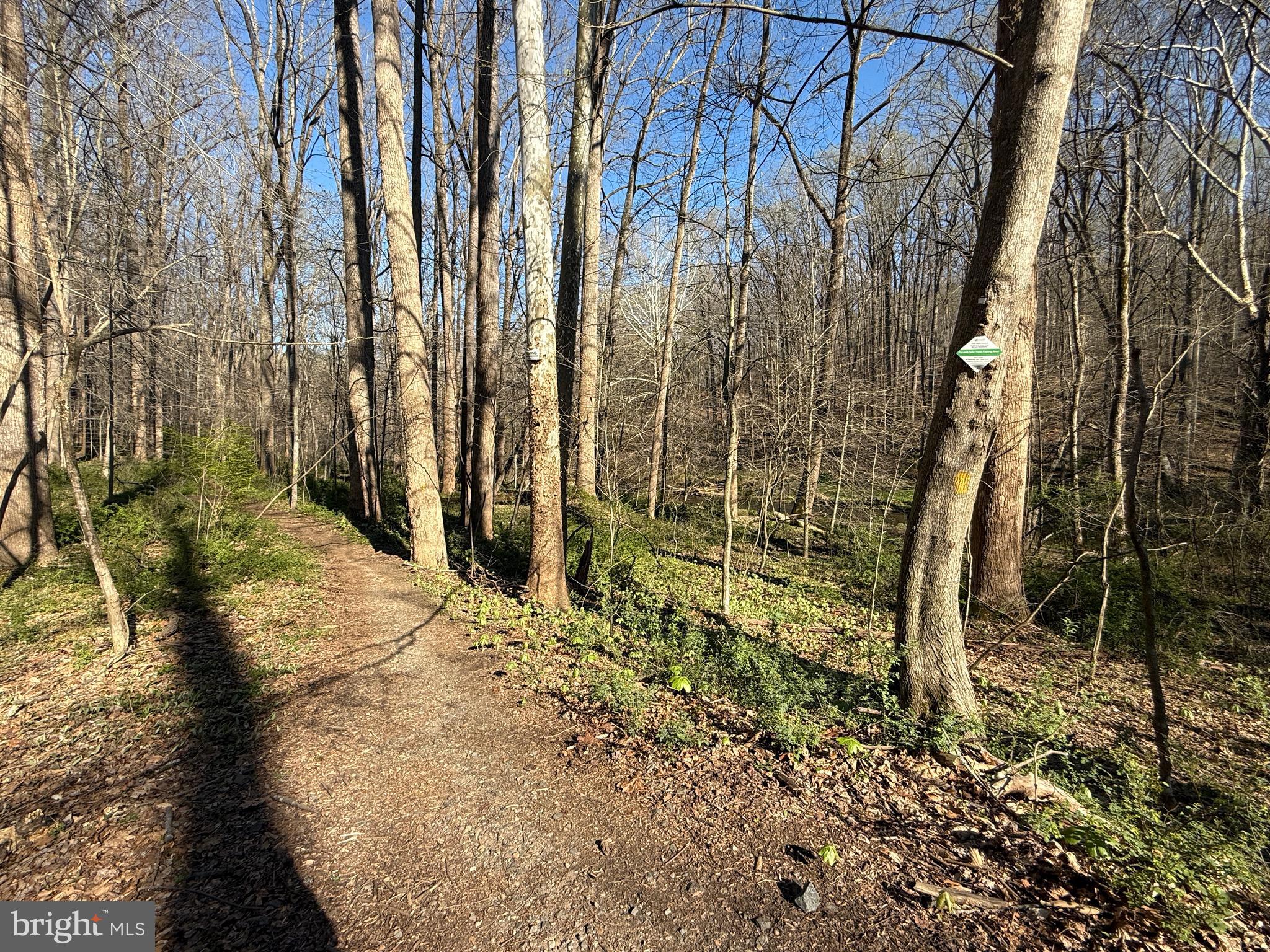 CHARLES MANOR - Residential