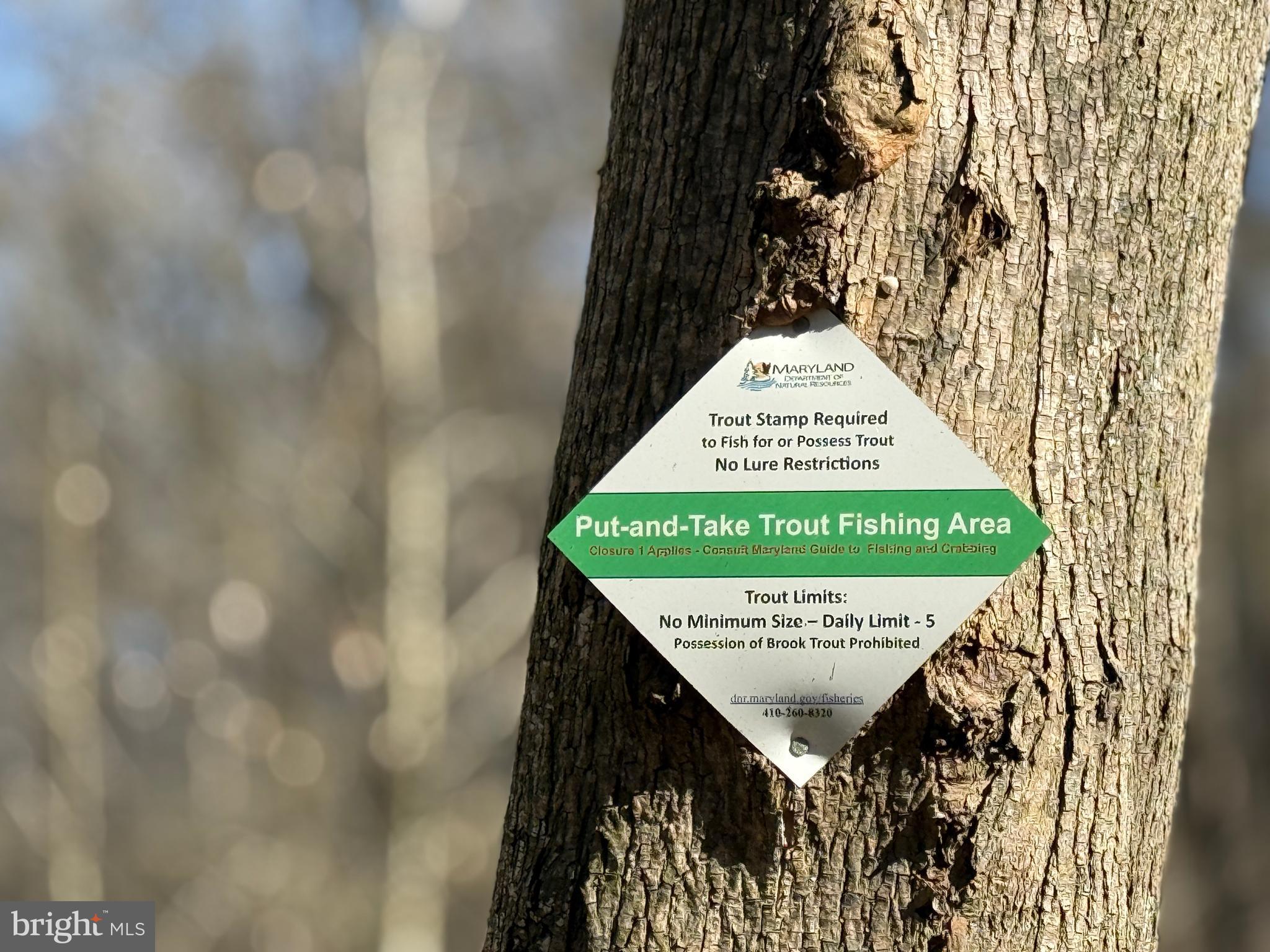 CHARLES MANOR - Residential