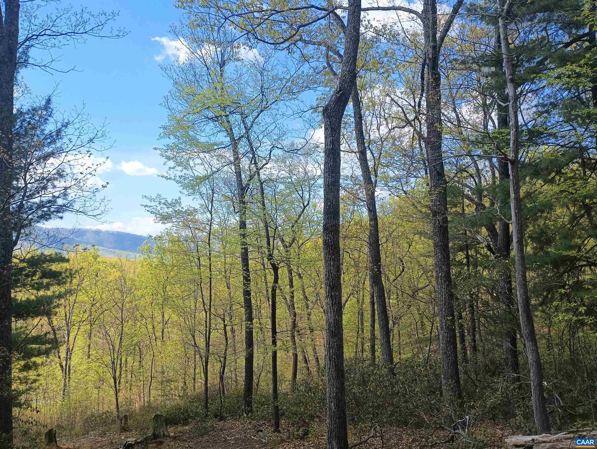 0 ROCKFISH HEIGHTS LN 5