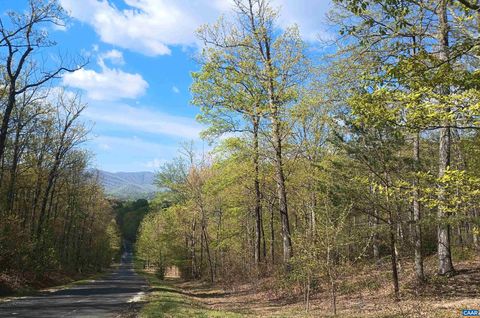 0 ROCKFISH HEIGHTS LN 5 NELLYSFORD VA 22958